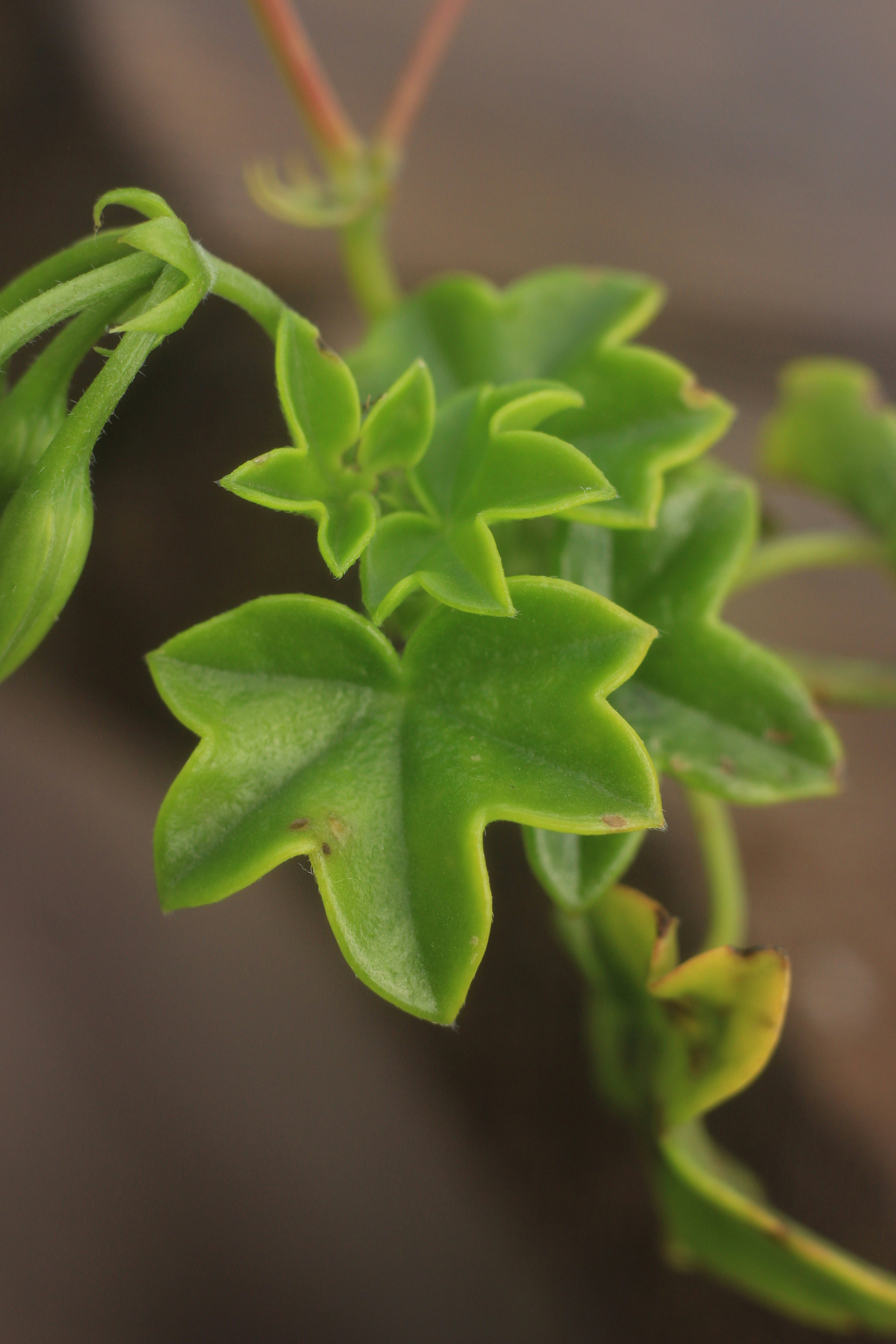 Photo by mattia_poli_04