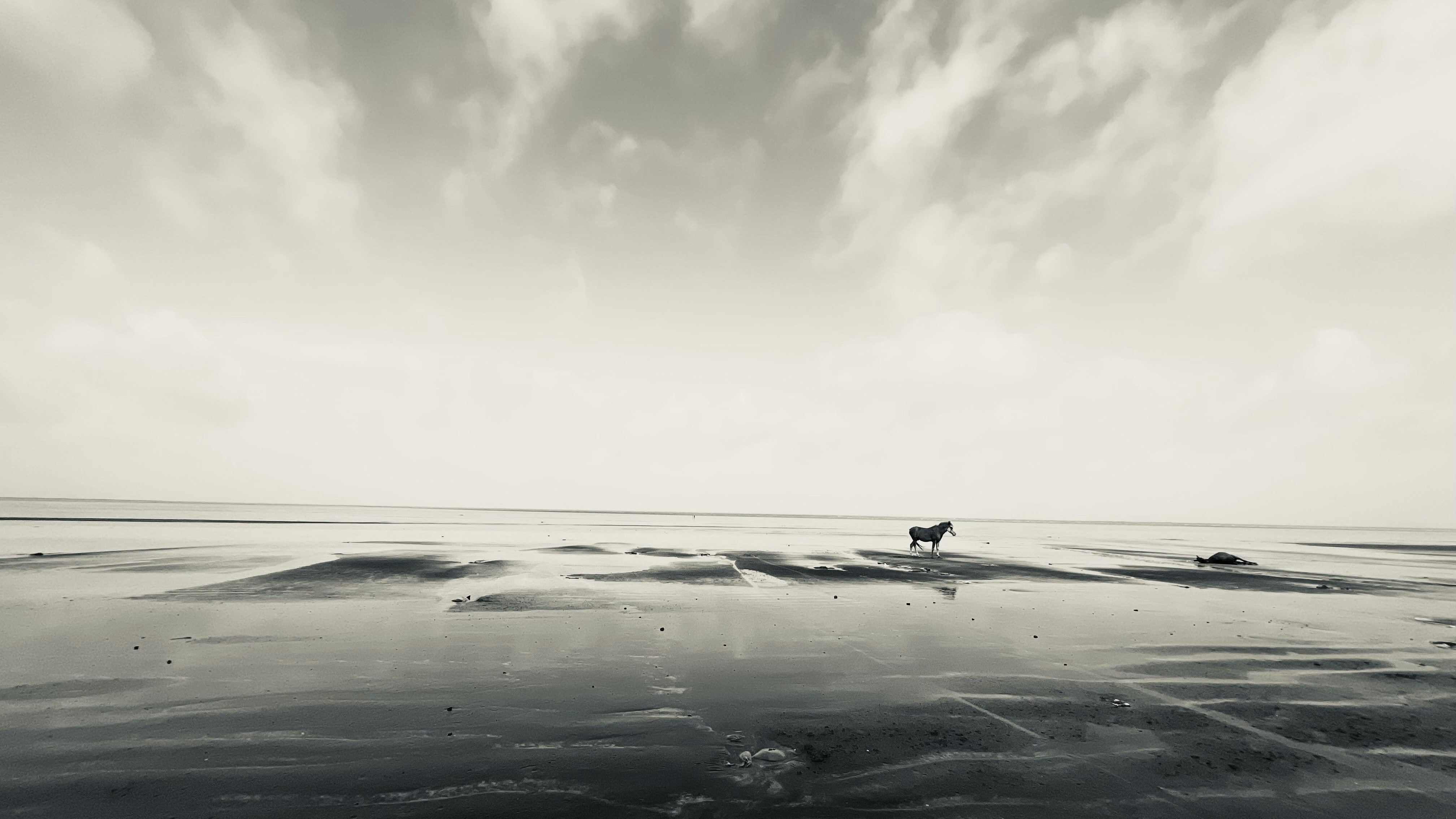 Photo by charoodatta