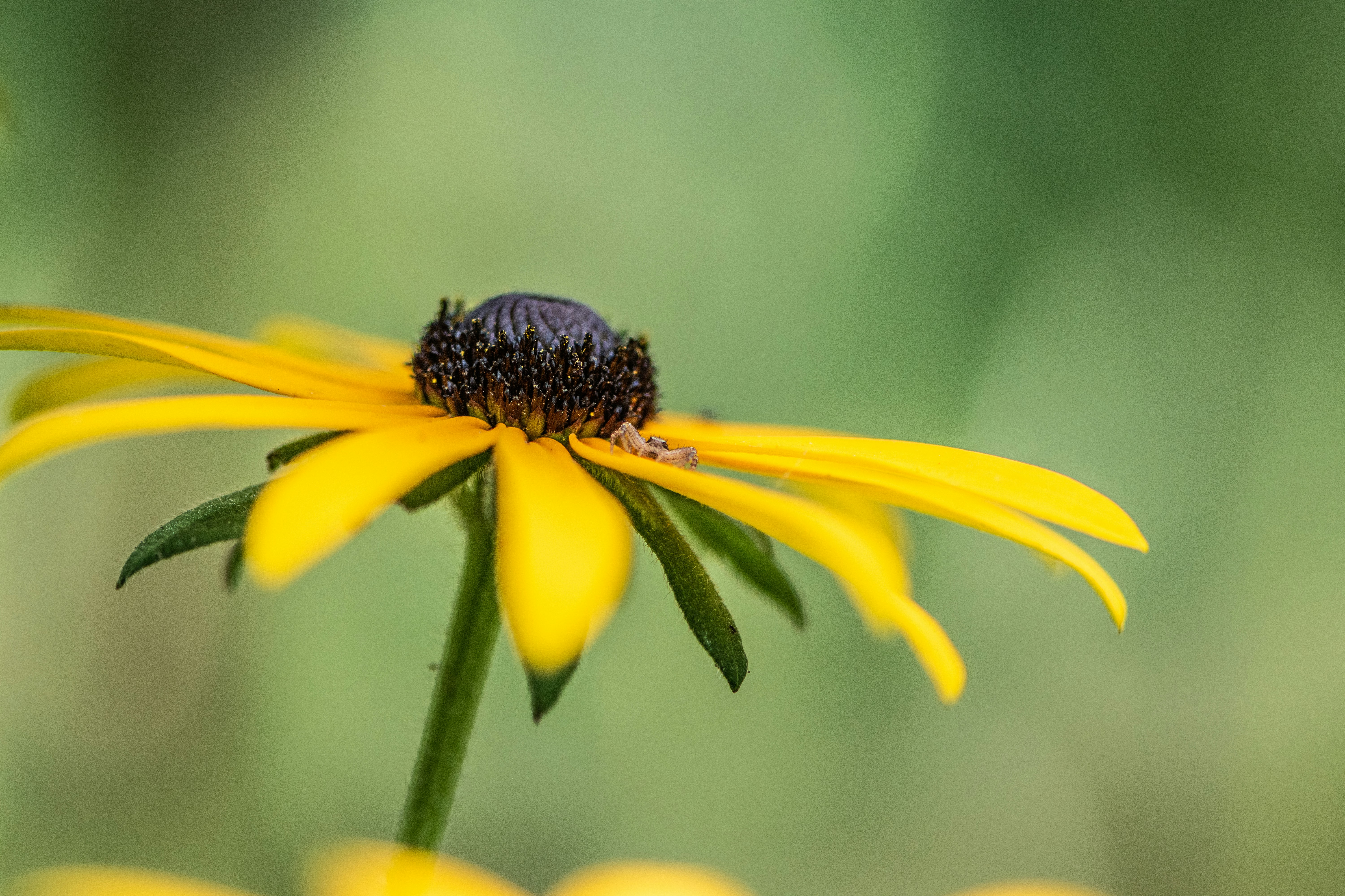 Photo by poltergeisti