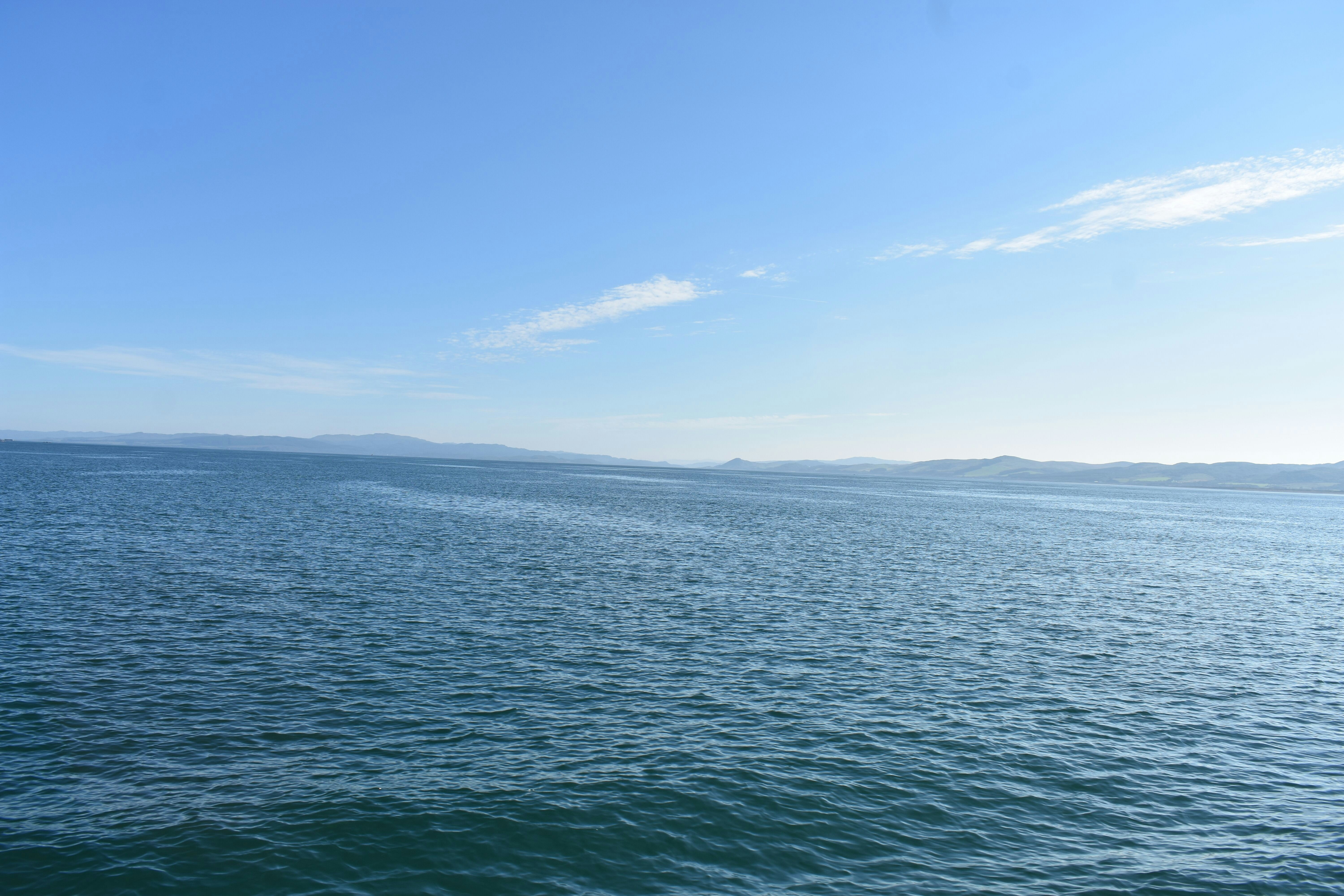 Photo by andrew_hall