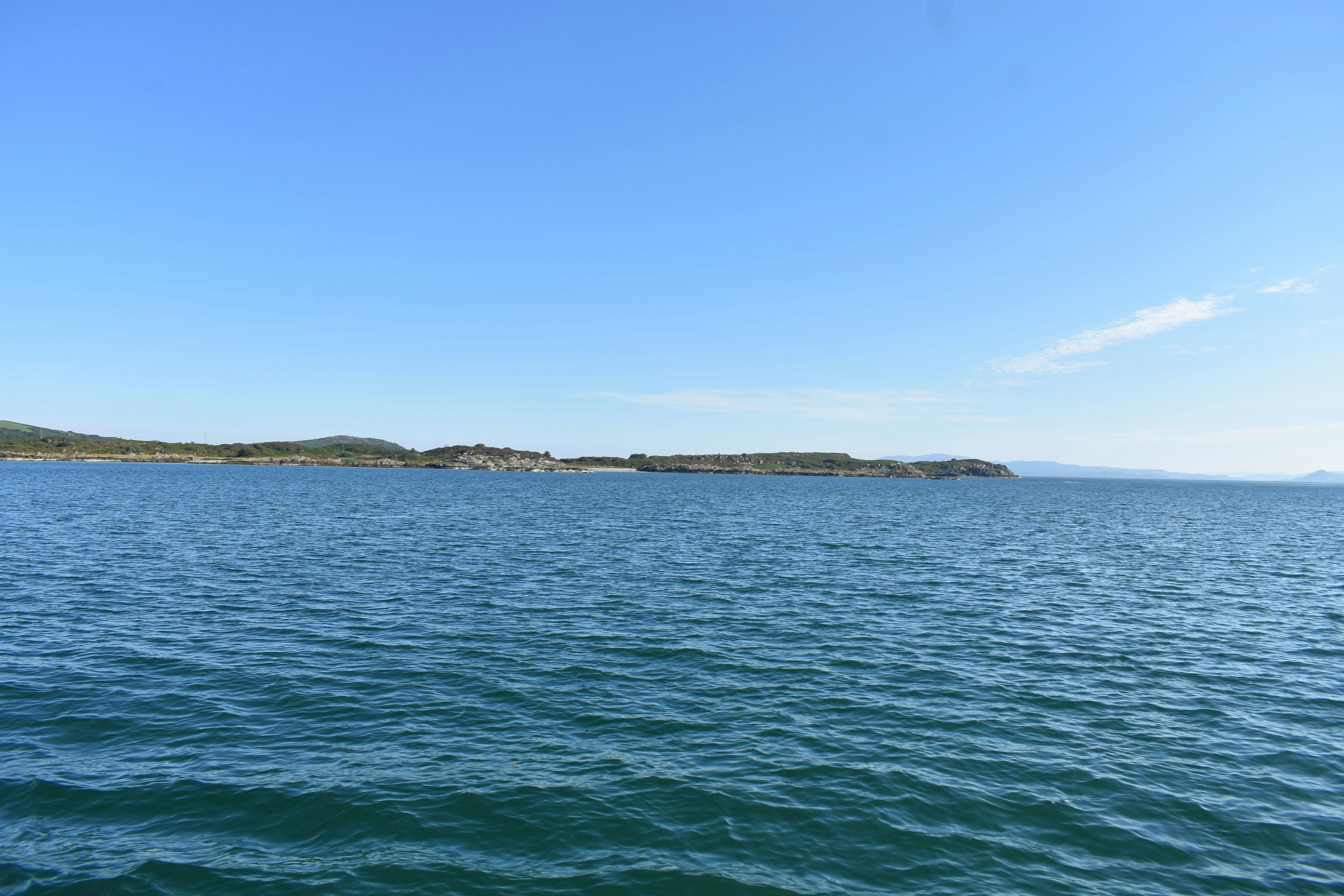 Photo by andrew_hall