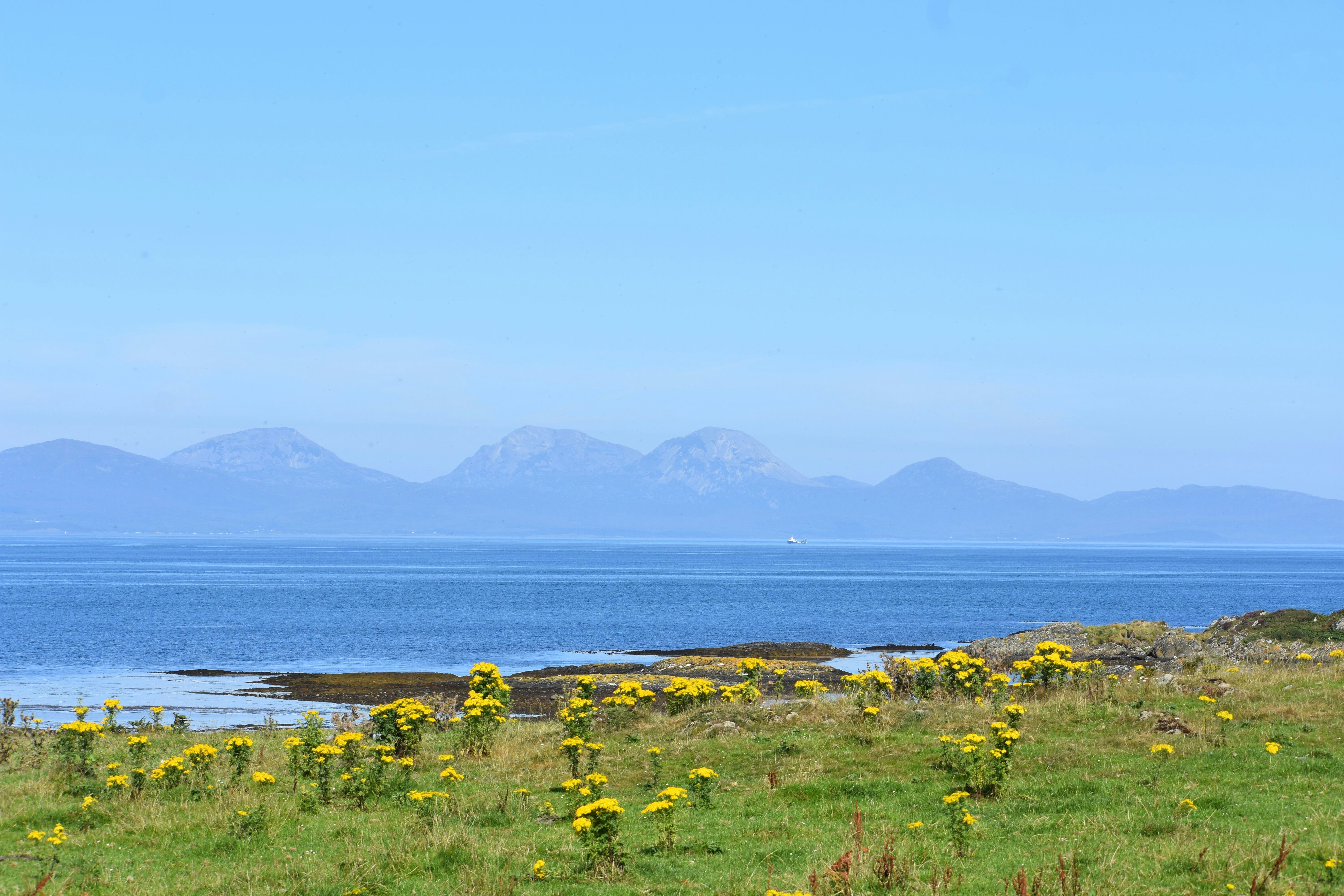 Photo by andrew_hall