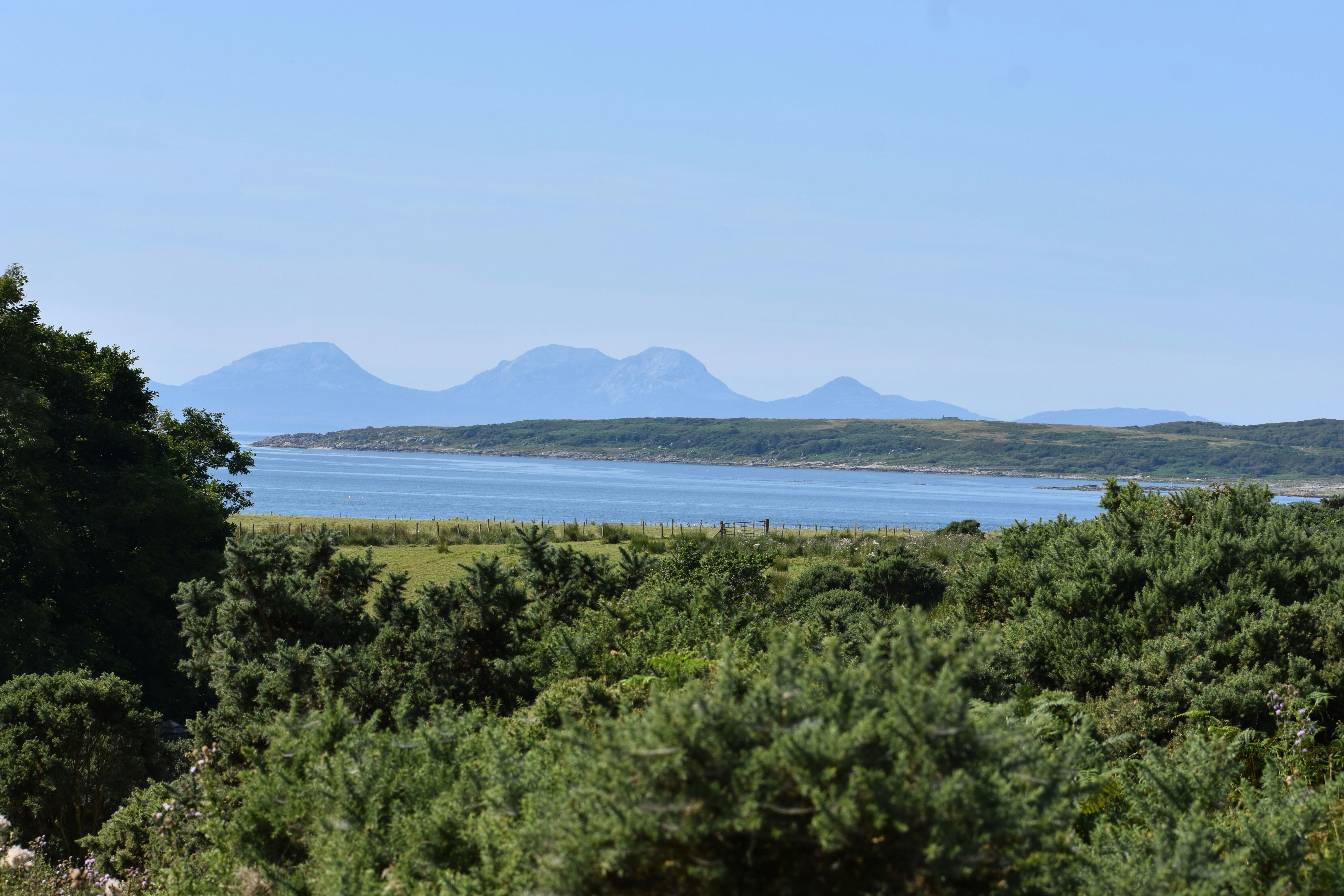 Photo by andrew_hall