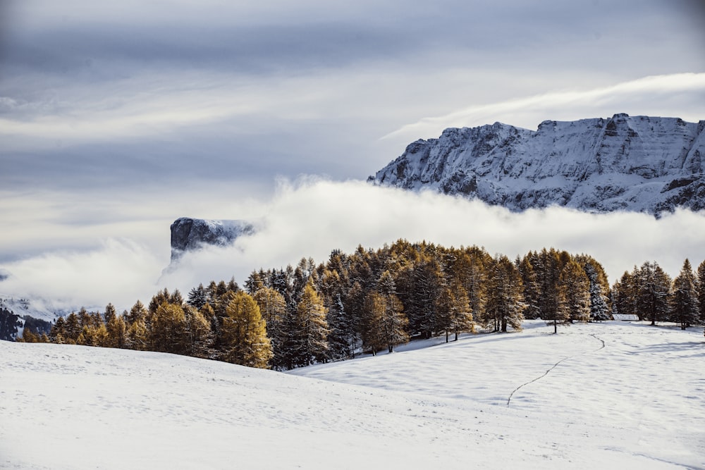 Una montagna innevata con alberi e nuvole