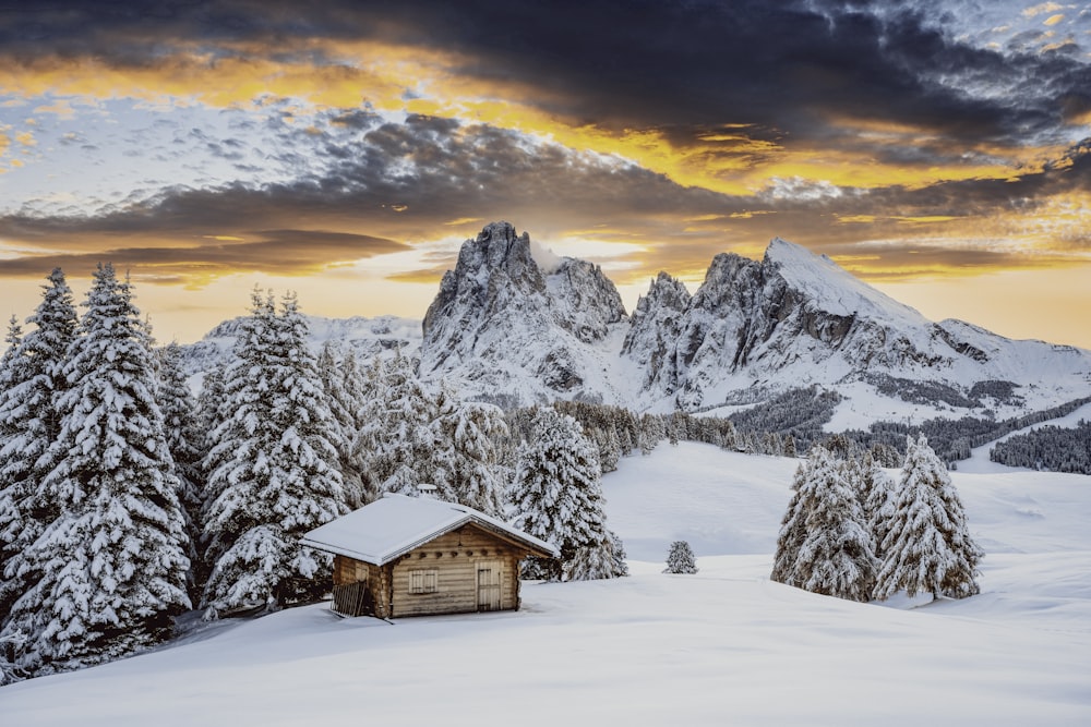 a cabin in a snowy landscape