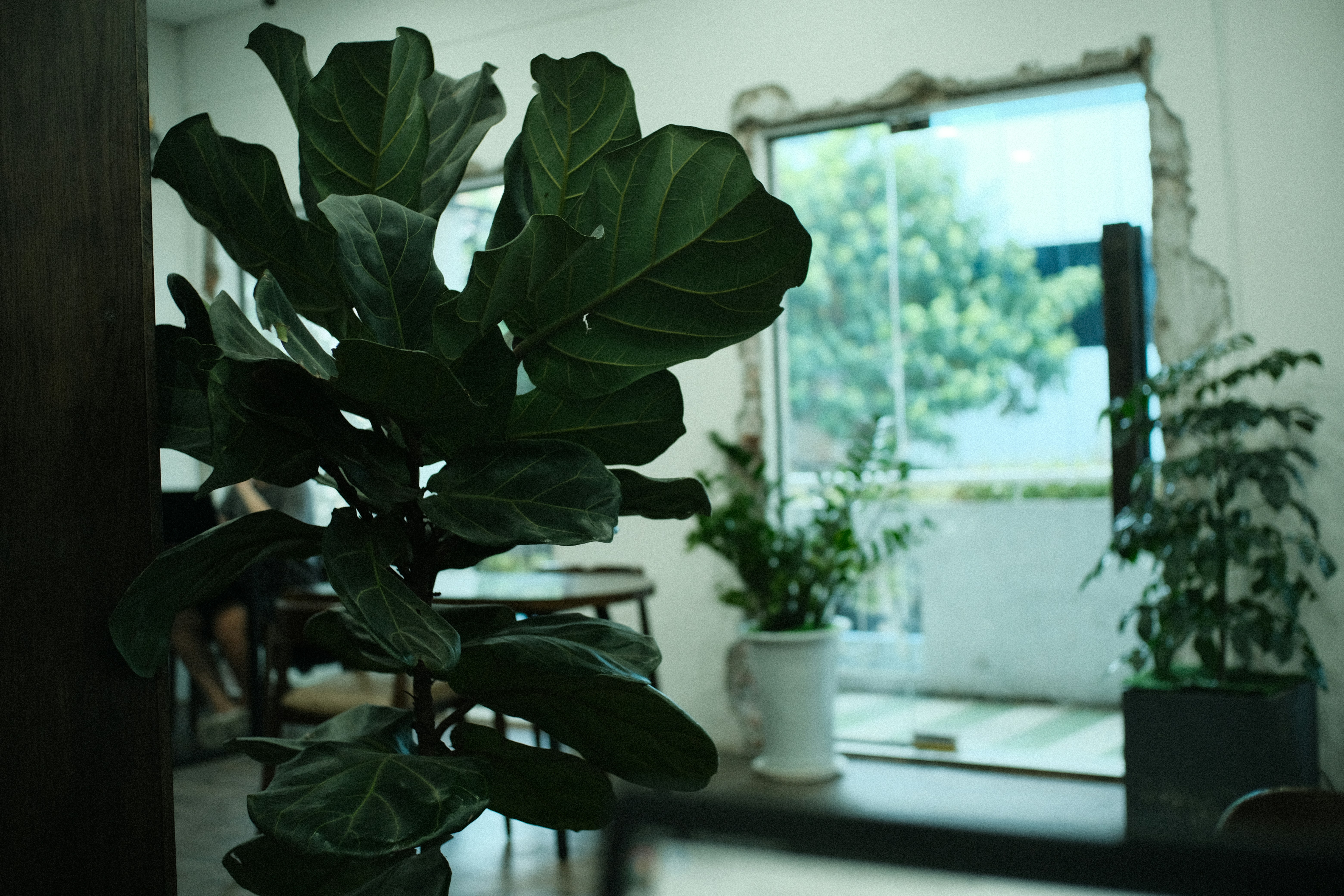 Photo by dvhoang2106