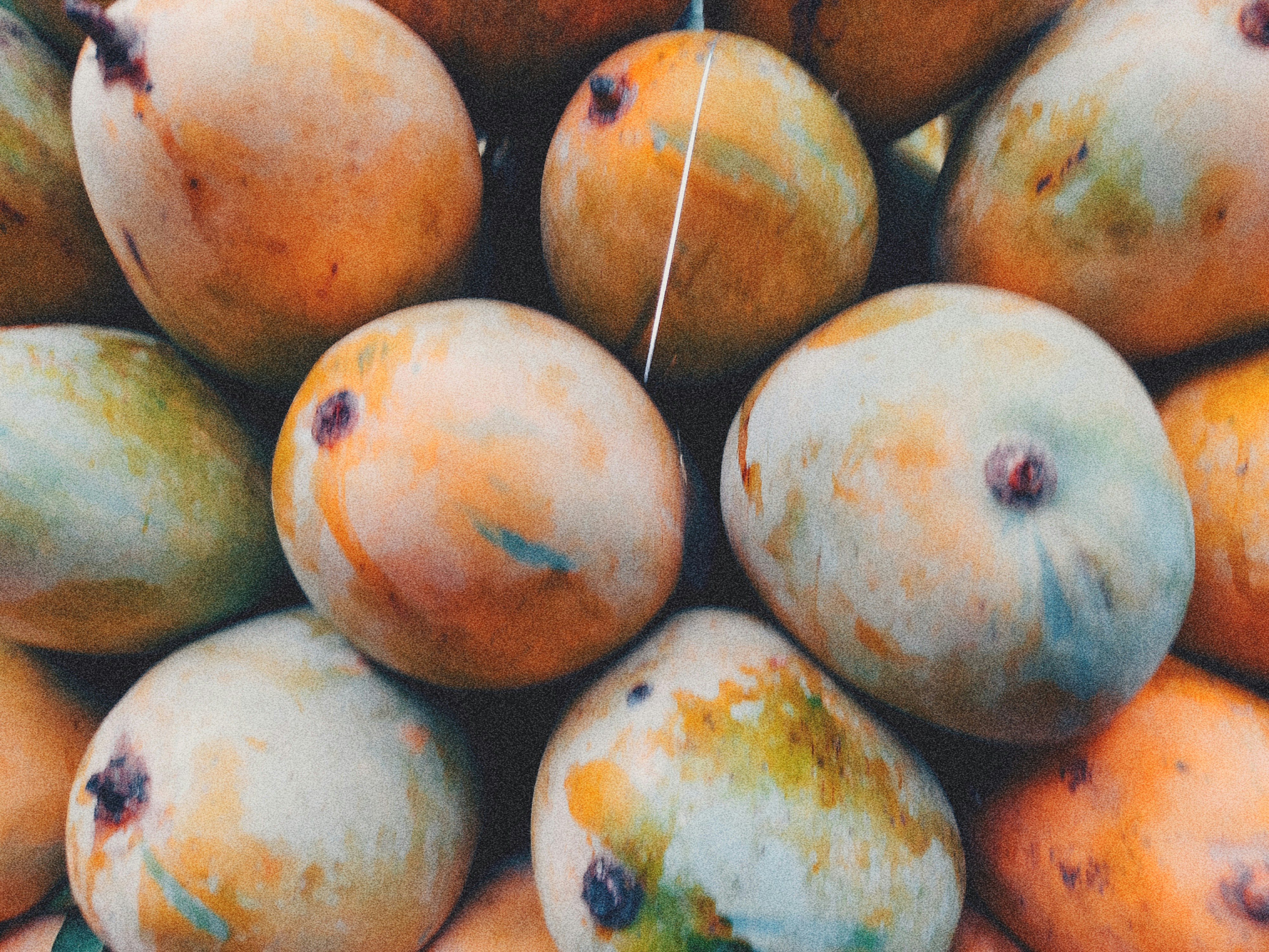 Photo by am_stardust