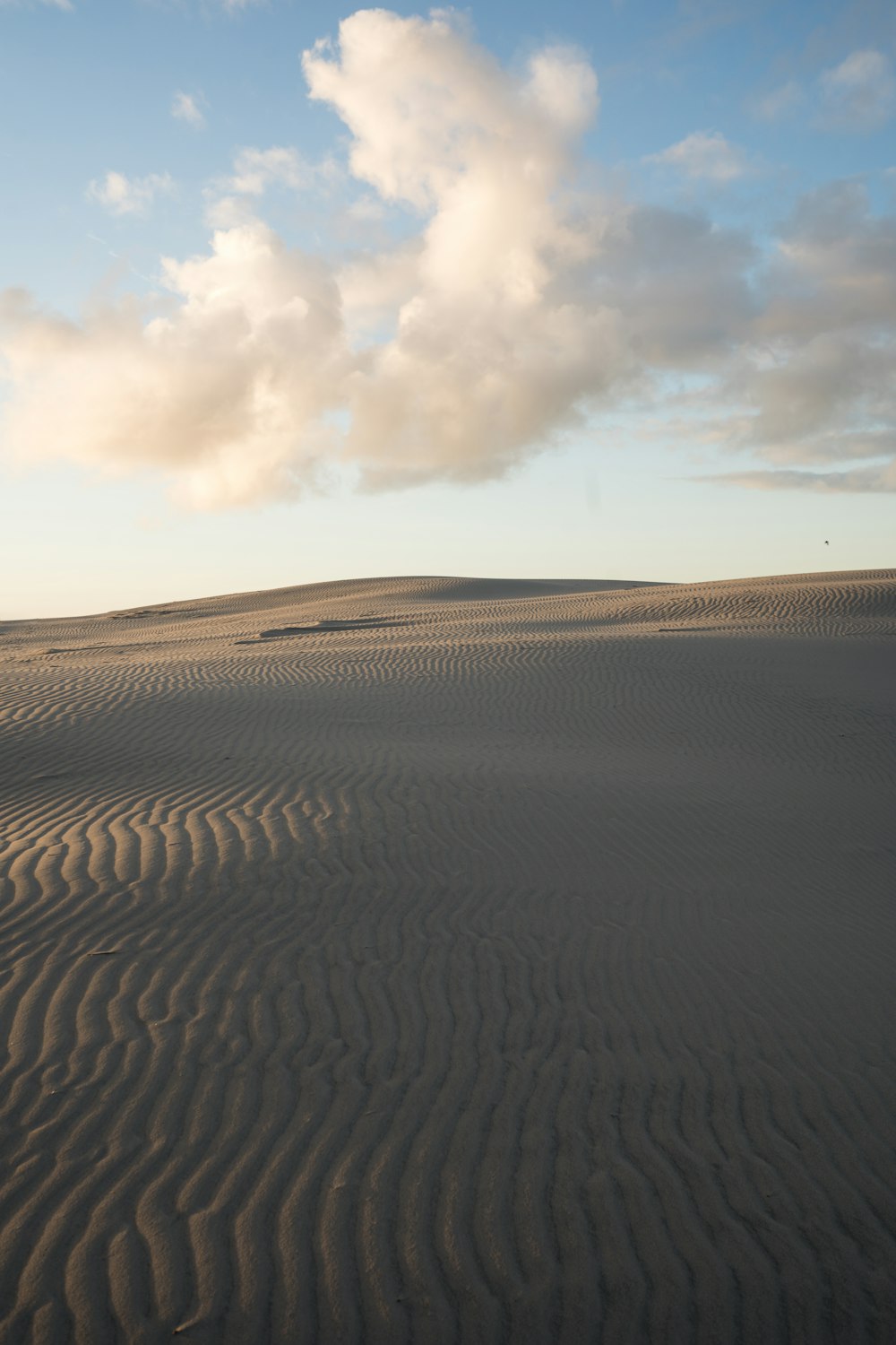 a large flat area with sand