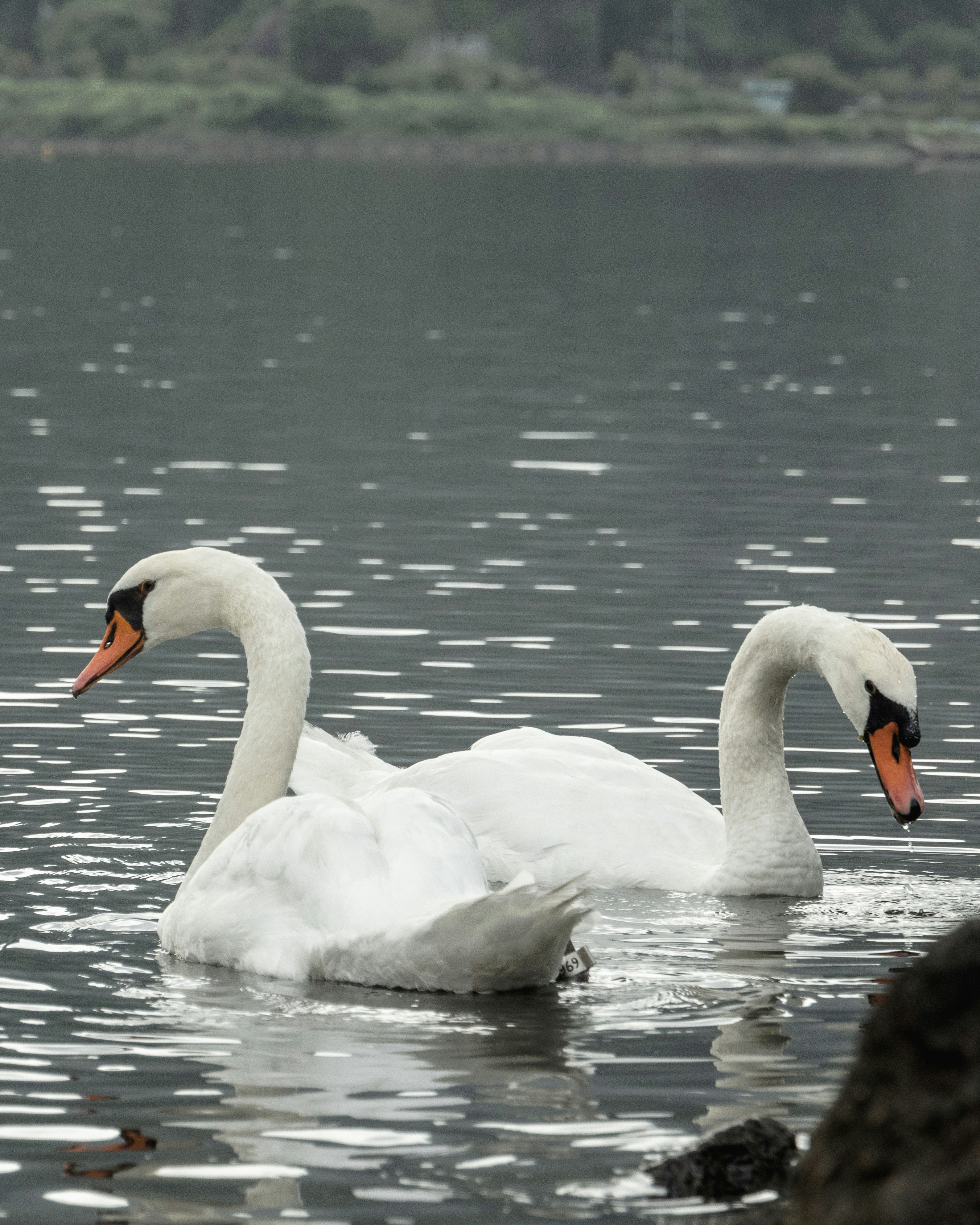 Photo by hiroyukisenn