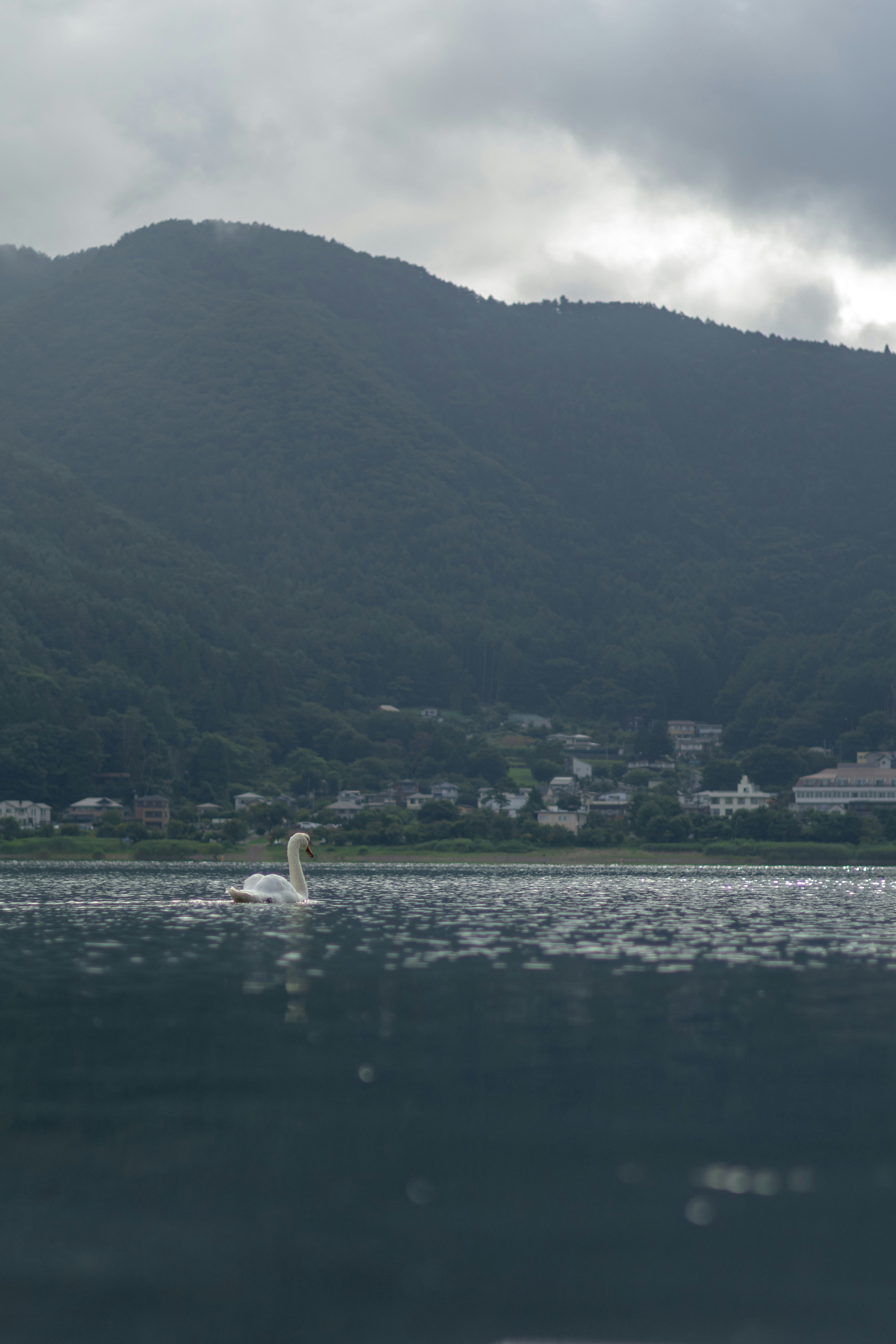 Photo by hiroyukisenn