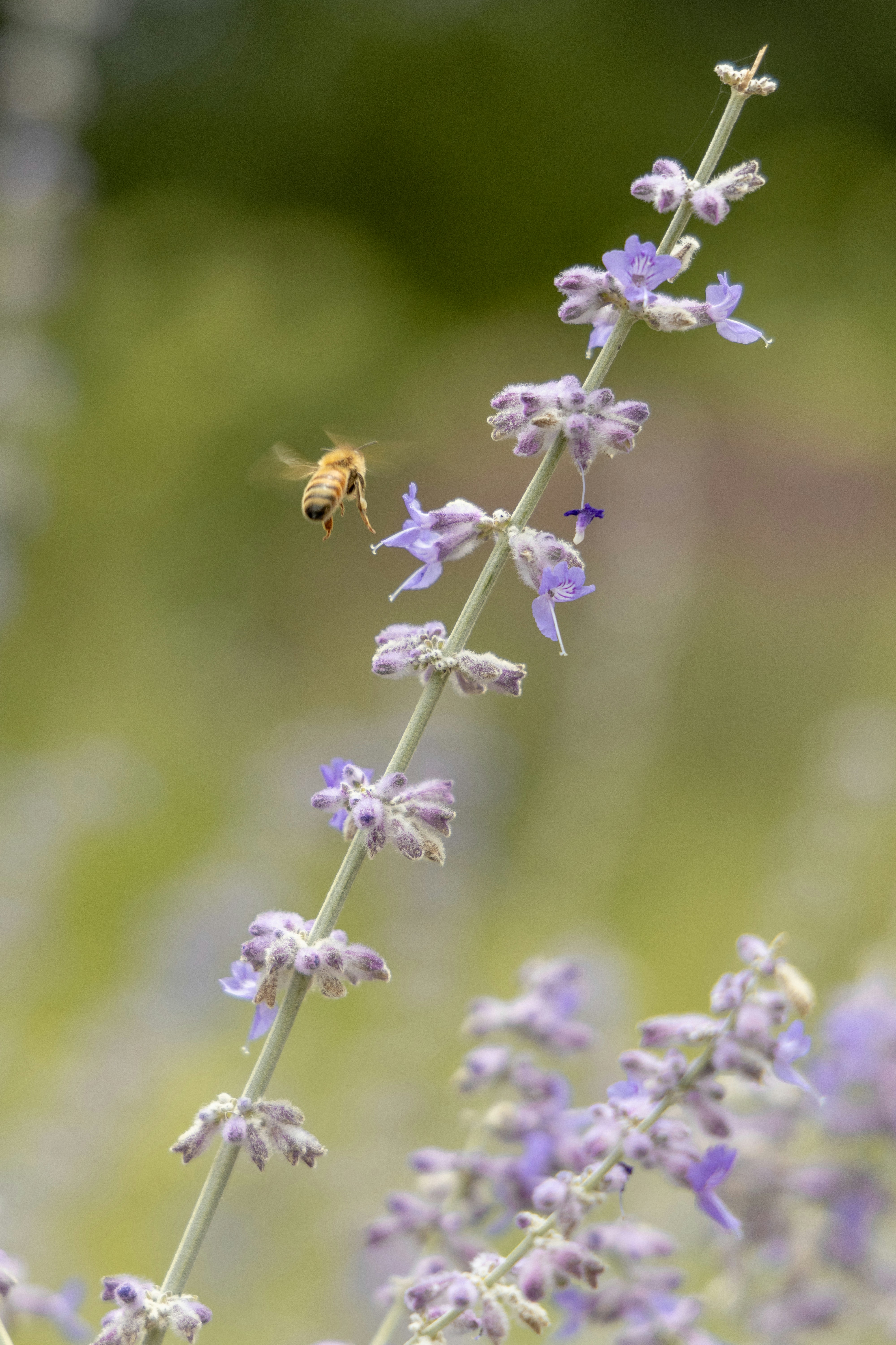 Photo by hiroyukisenn