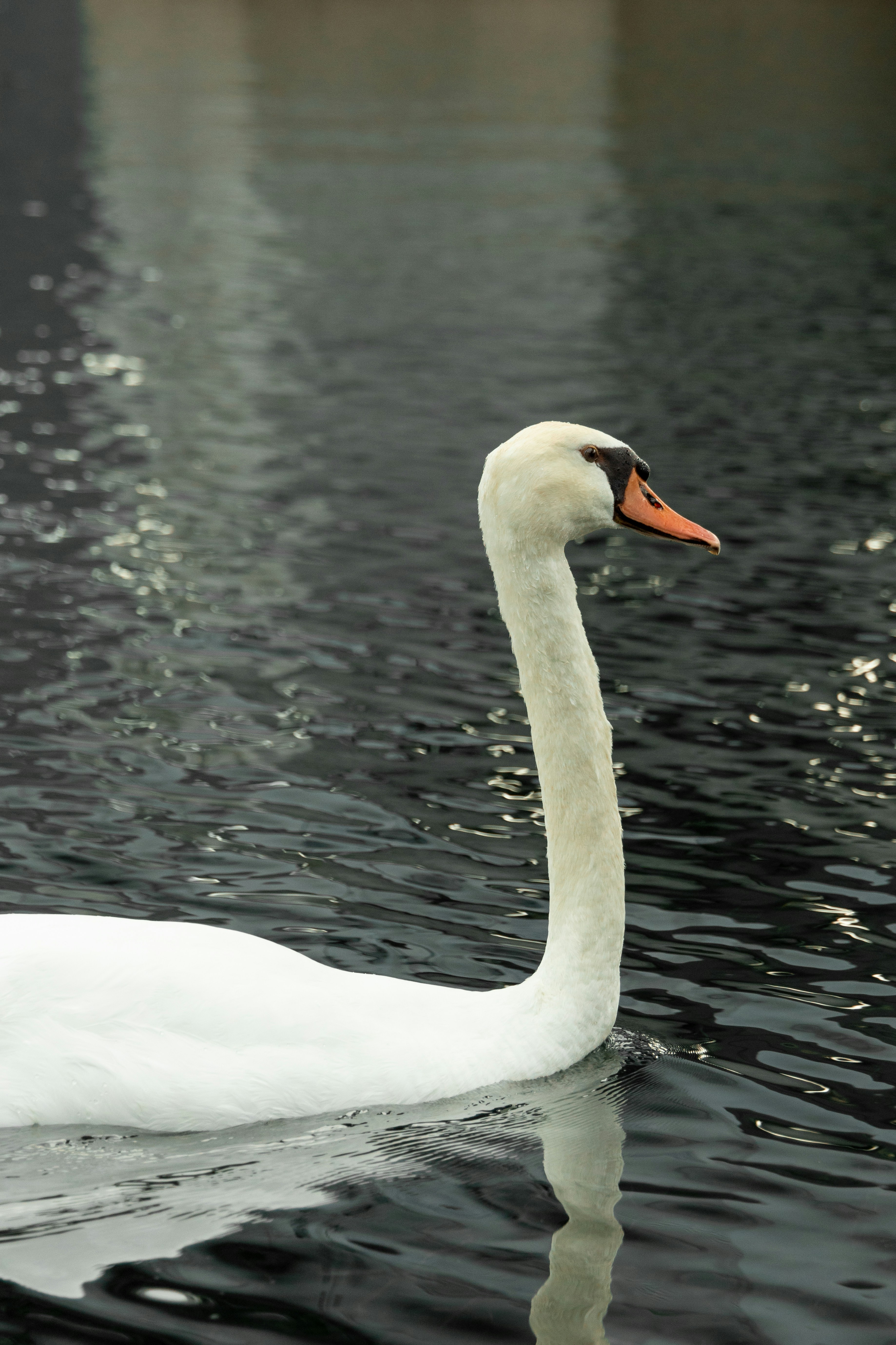 Photo by hiroyukisenn