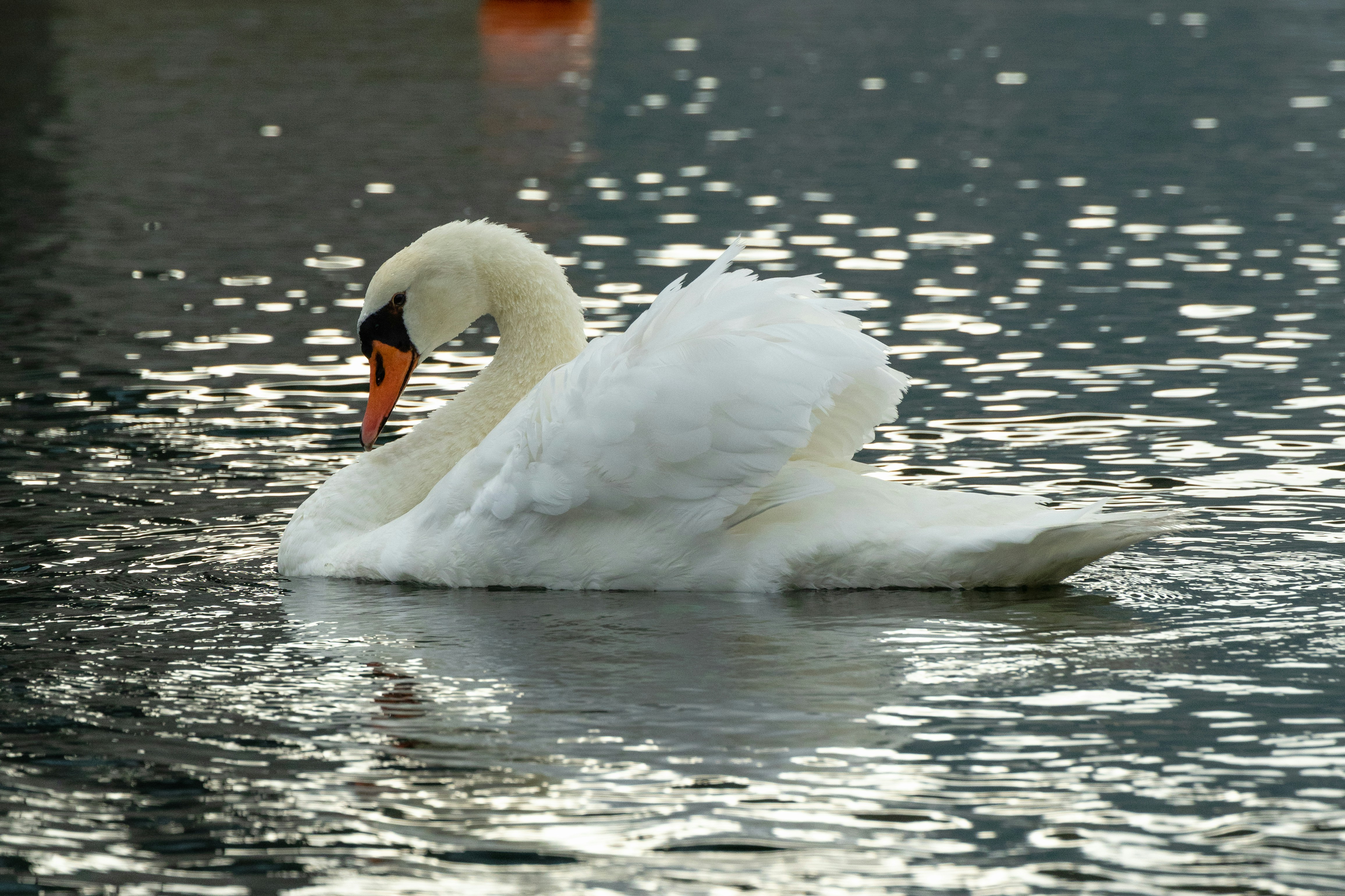 Photo by hiroyukisenn