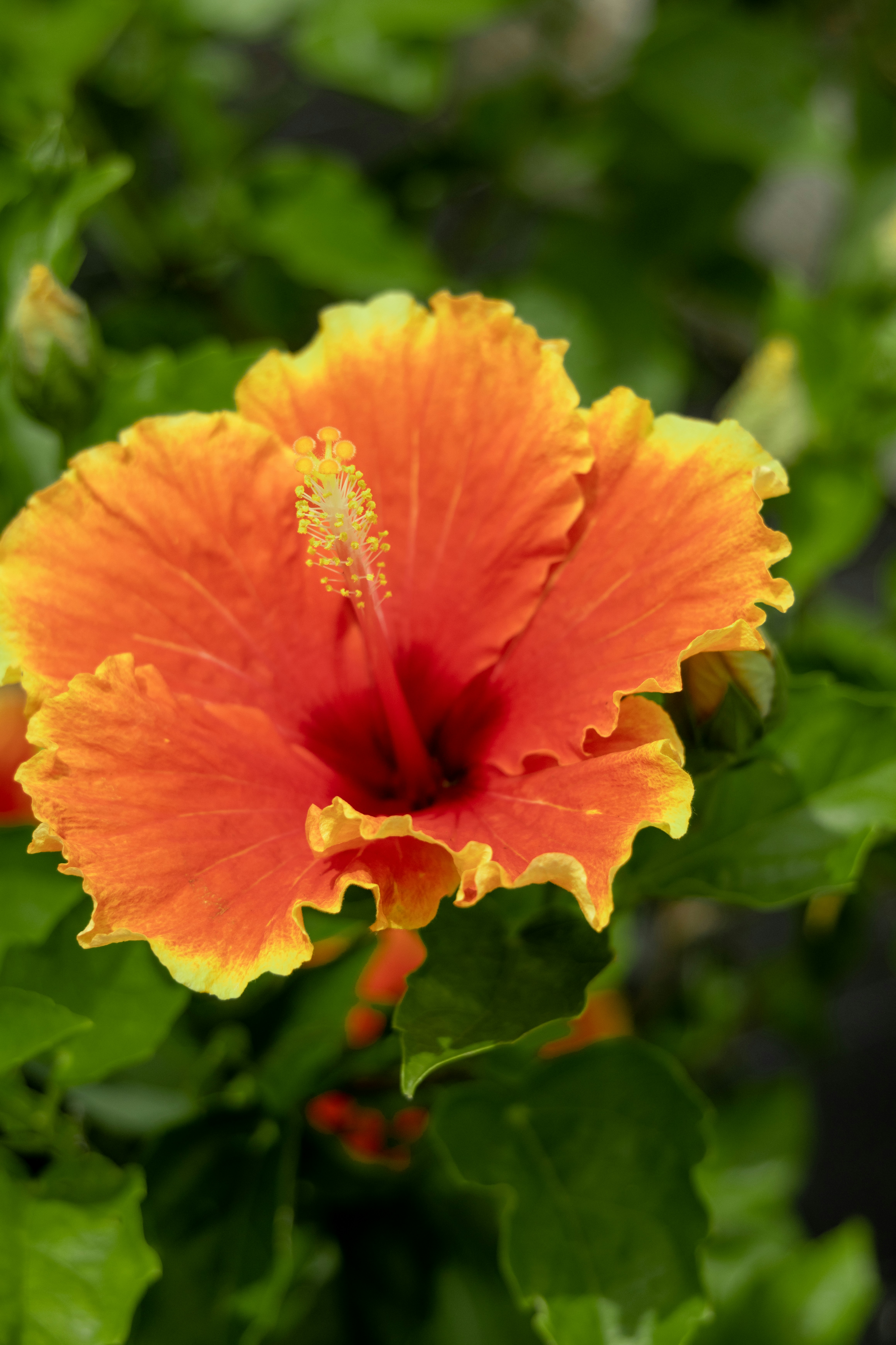 Photo by hiroyukisenn