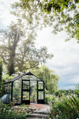 Students tending a lush garden, surrounded by calming greenery and natural light.