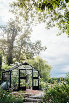A sleek glass greenhouse bathed in morning sunlight with lush plants inside.