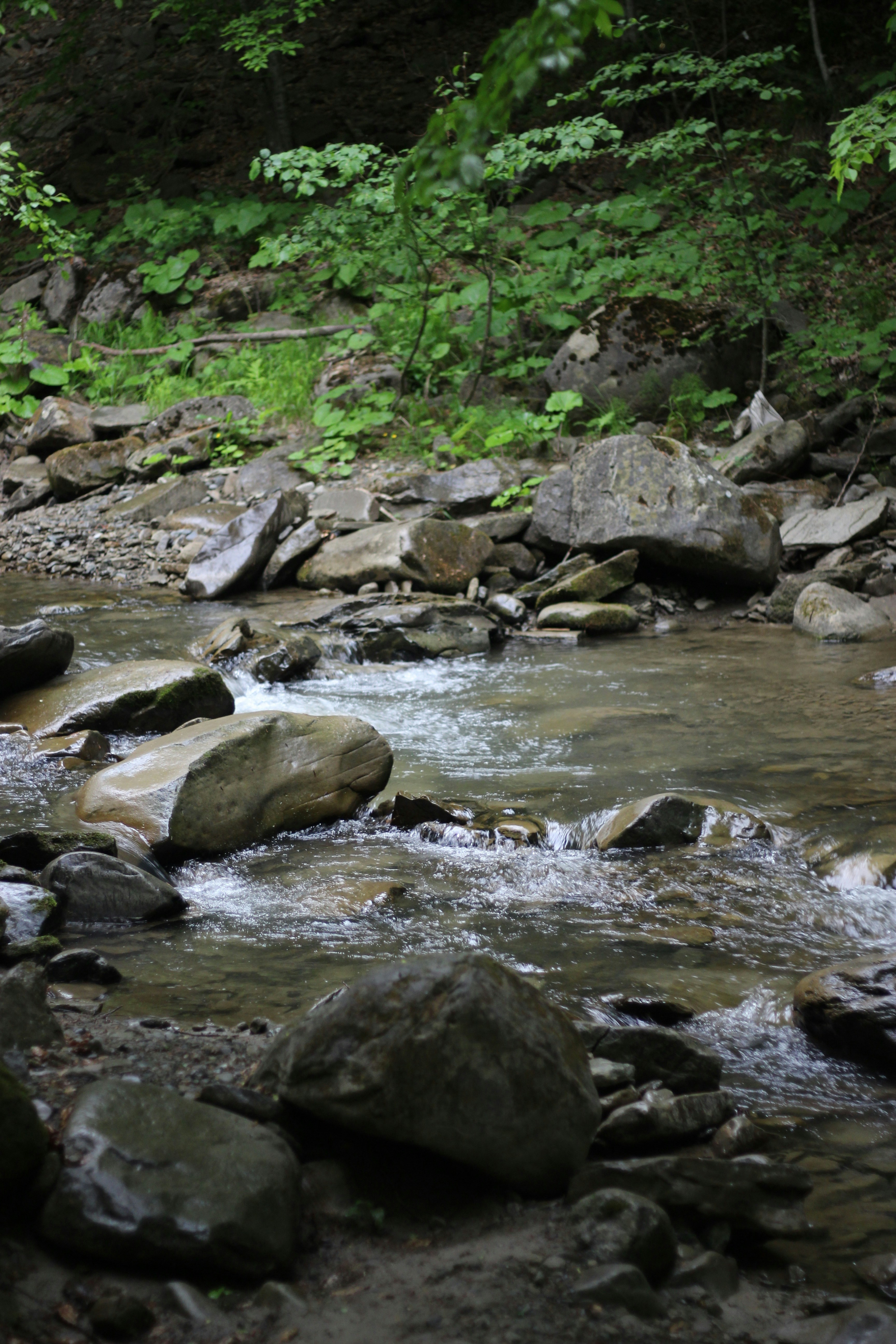 Photo by budauoana231