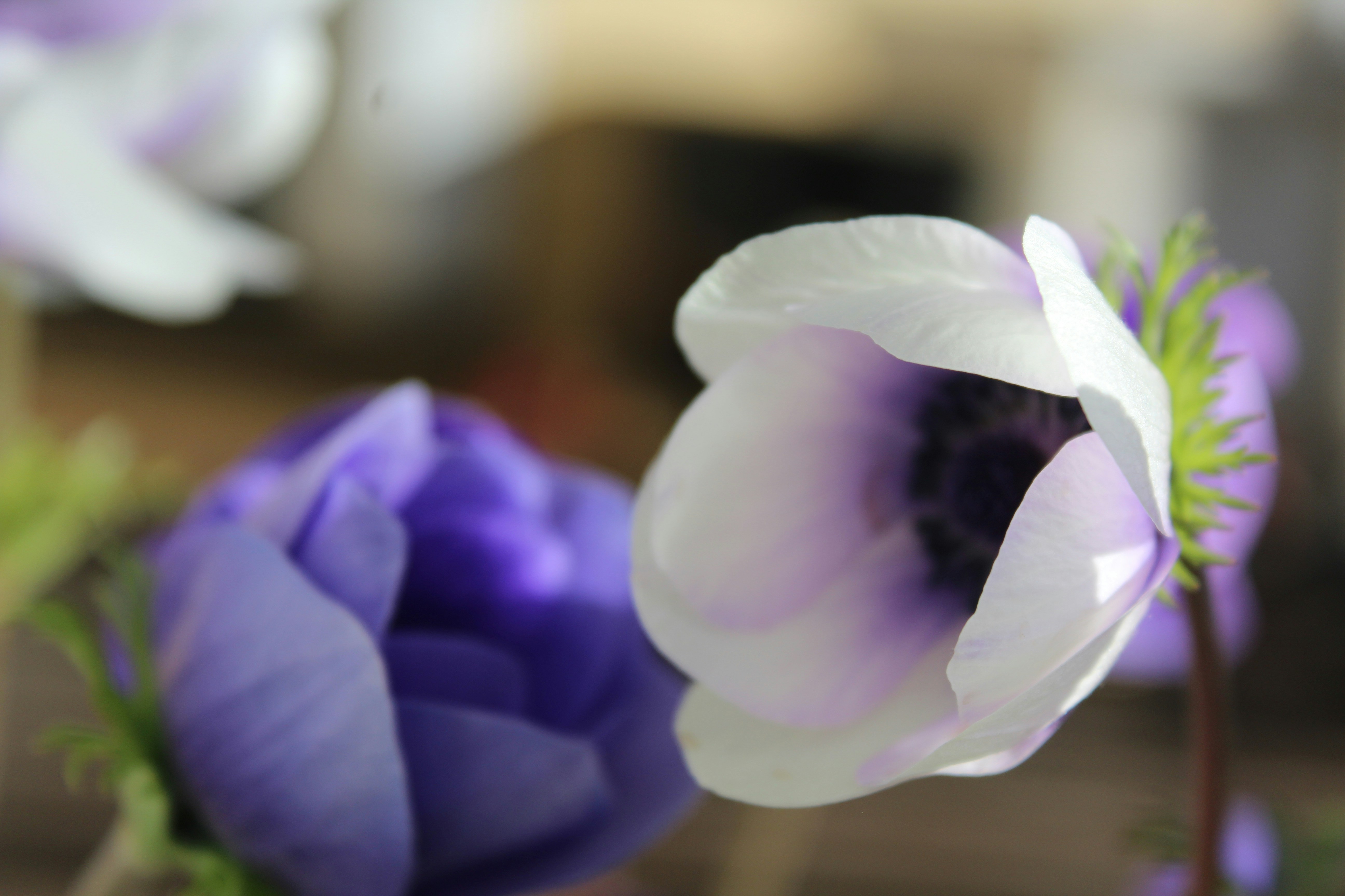 Photo by light_and_hope