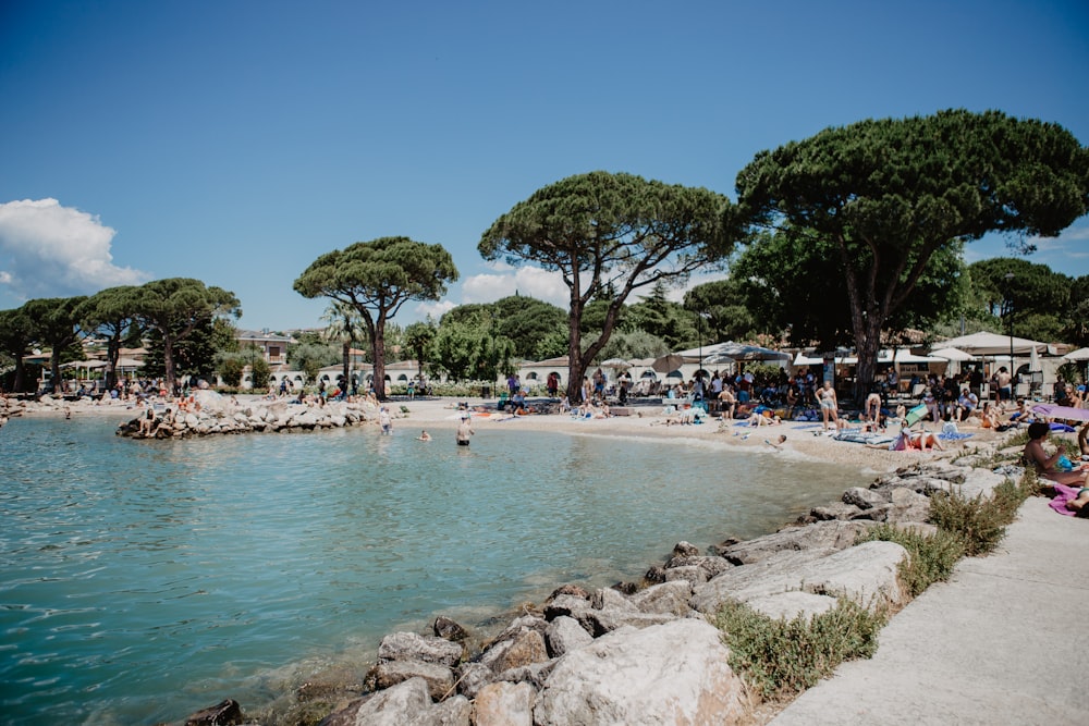 a beach with people and trees