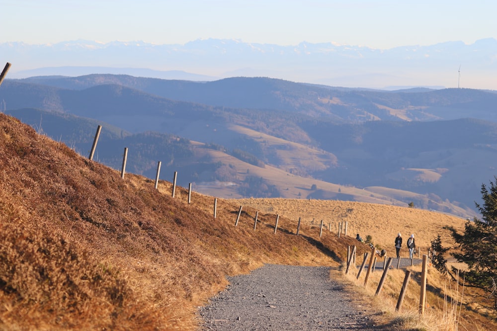 a group of people walking on a trail in a hilly landscape