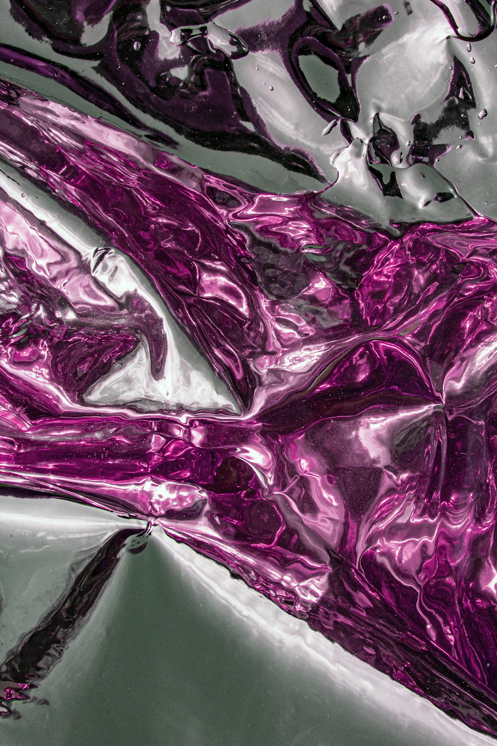 a close-up of a purple and white sea creature