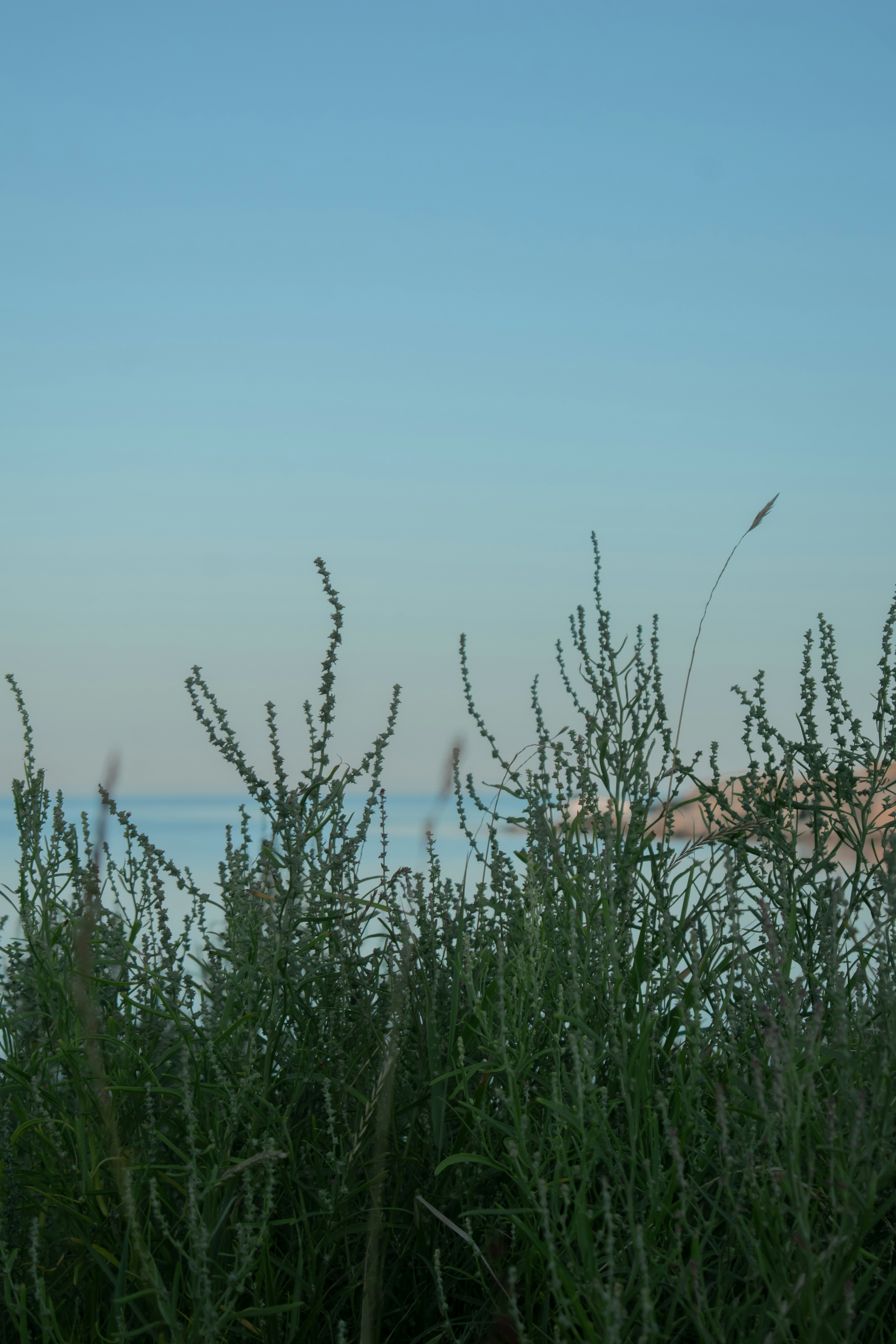 Photo by vierravincent