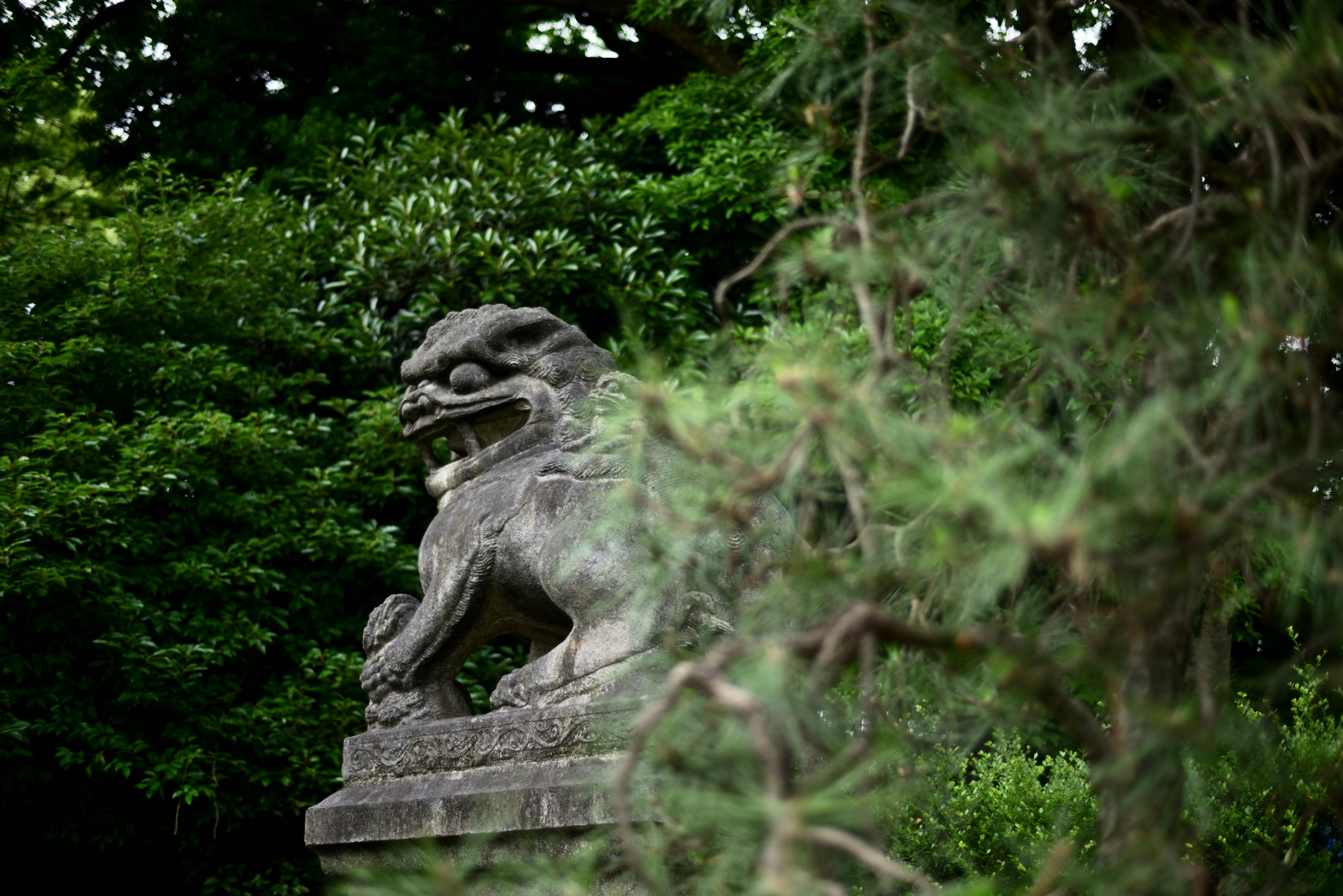 Photo by frogman1962