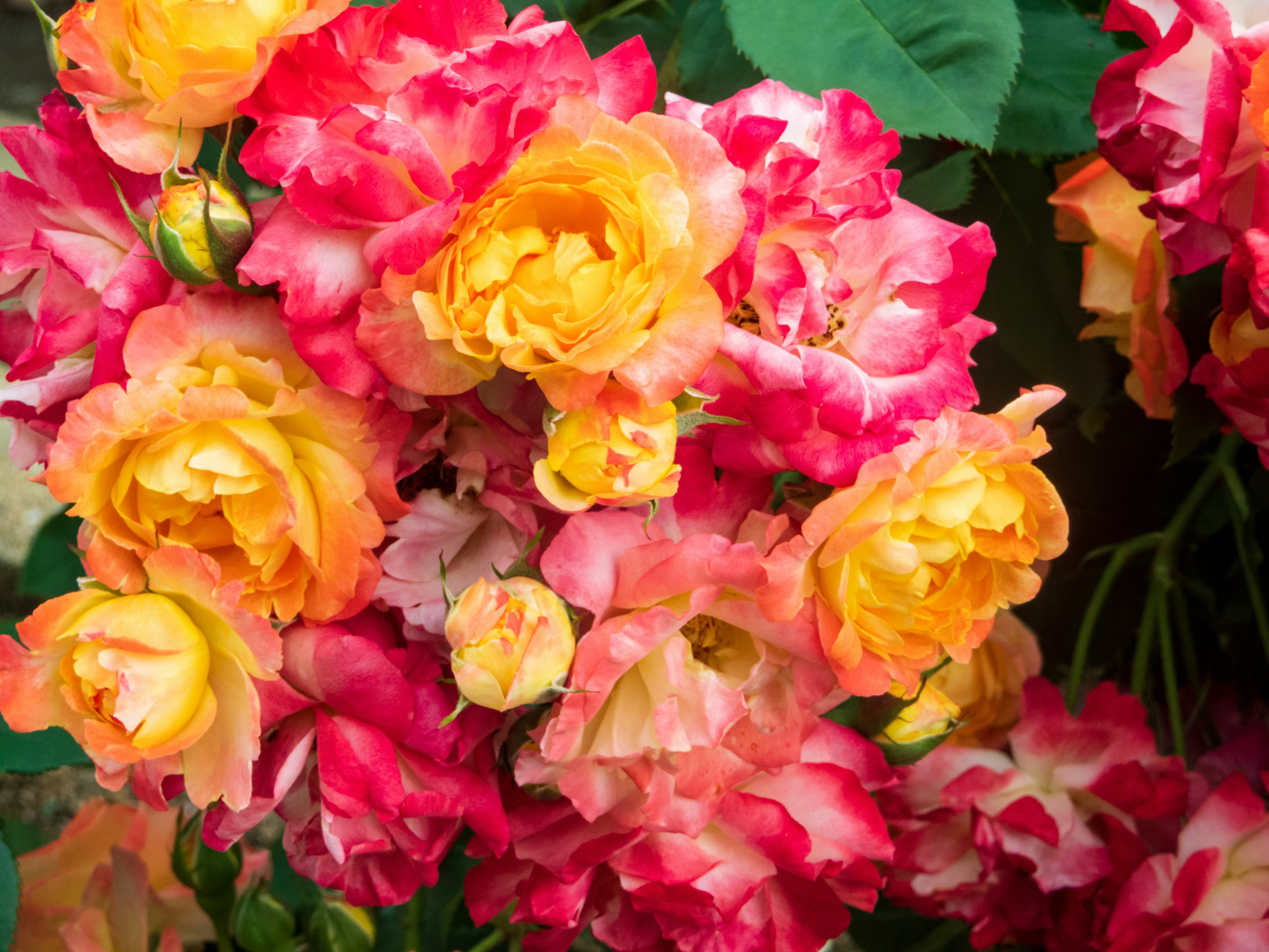 Photo by heppoko_yama