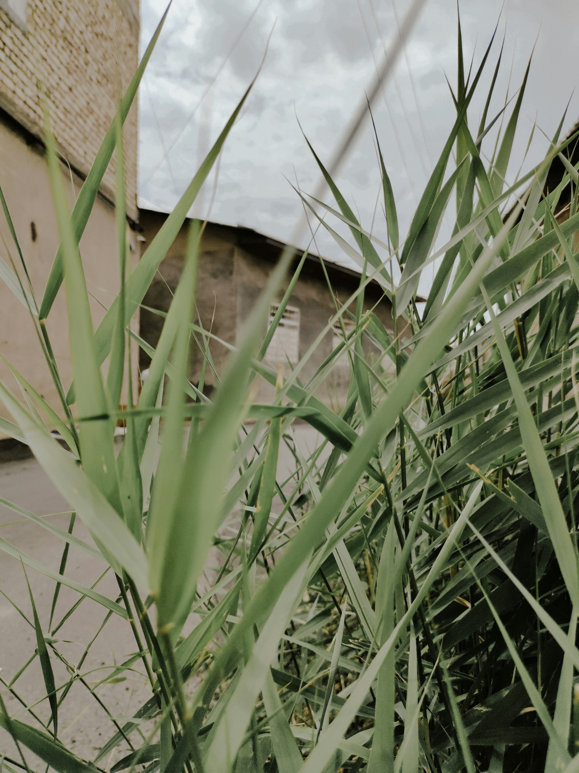 Photo by sabina_saribaeva