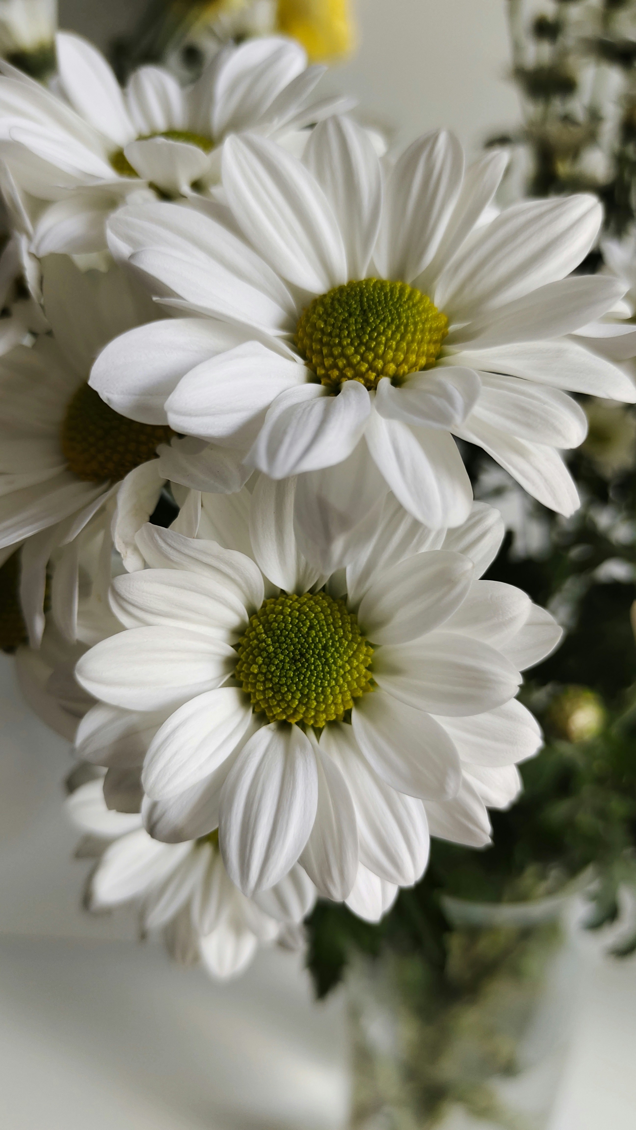 Photo by sabina_saribaeva