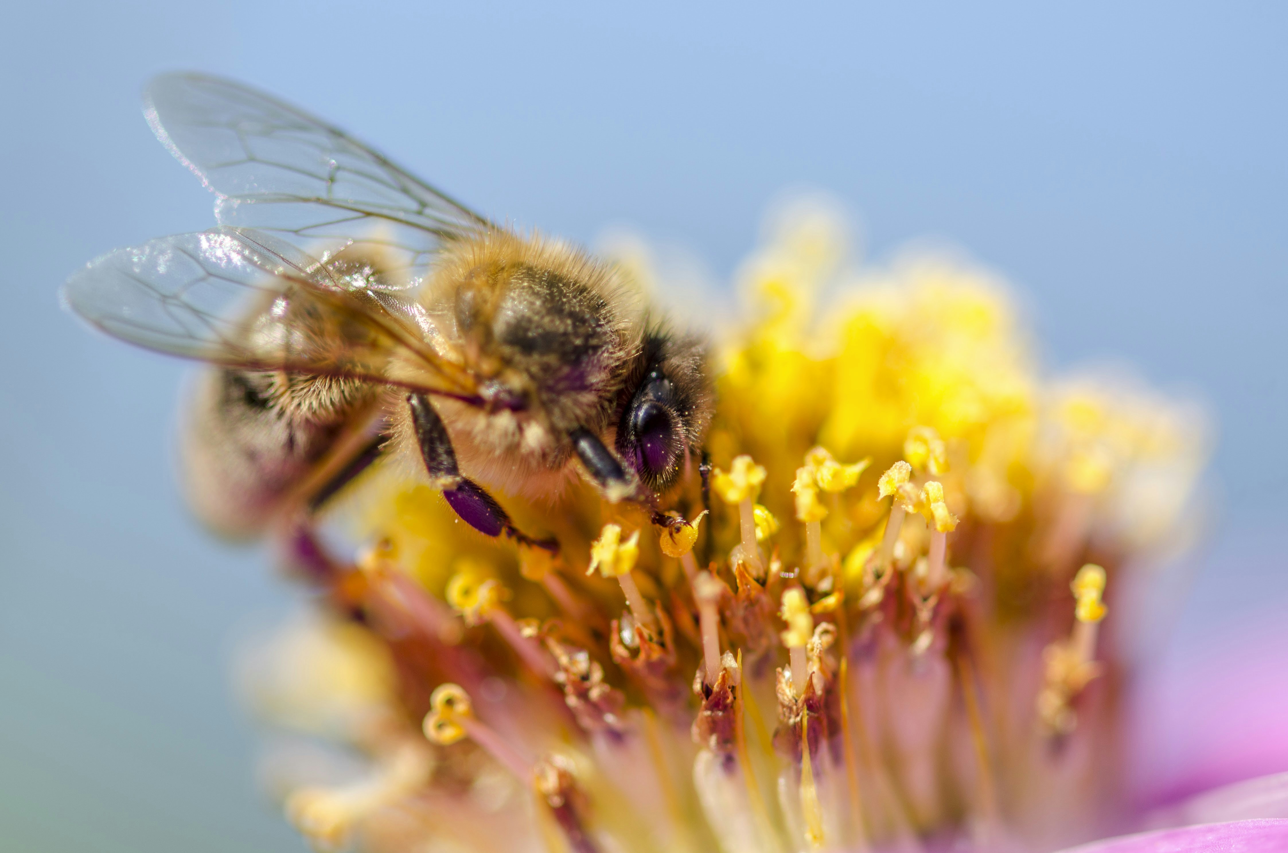 Photo by mxm_gilbert