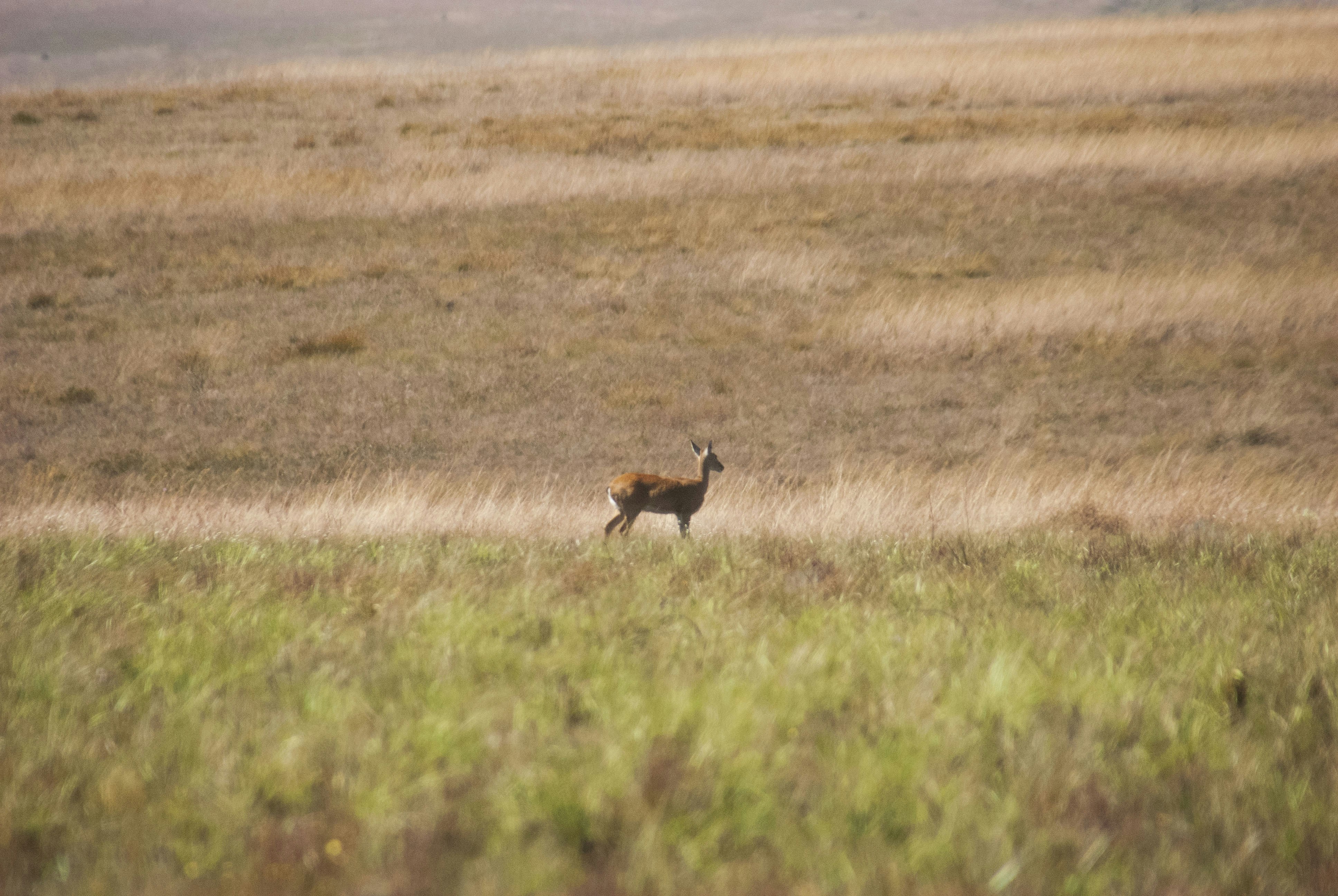 Photo by moisesamaral7