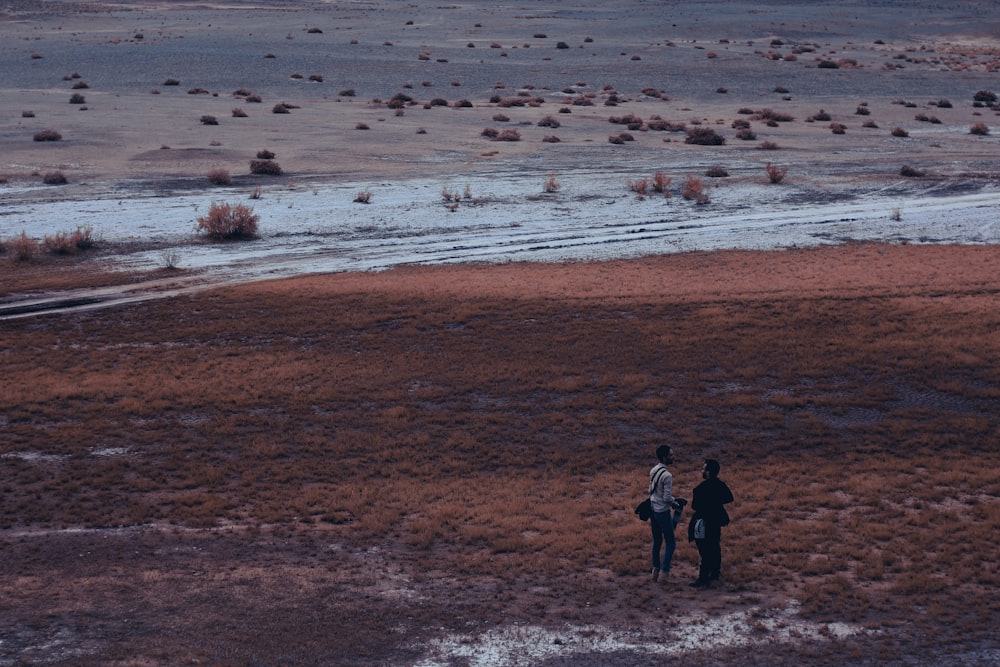 a couple of people standing on a beach with birds flying in the sky