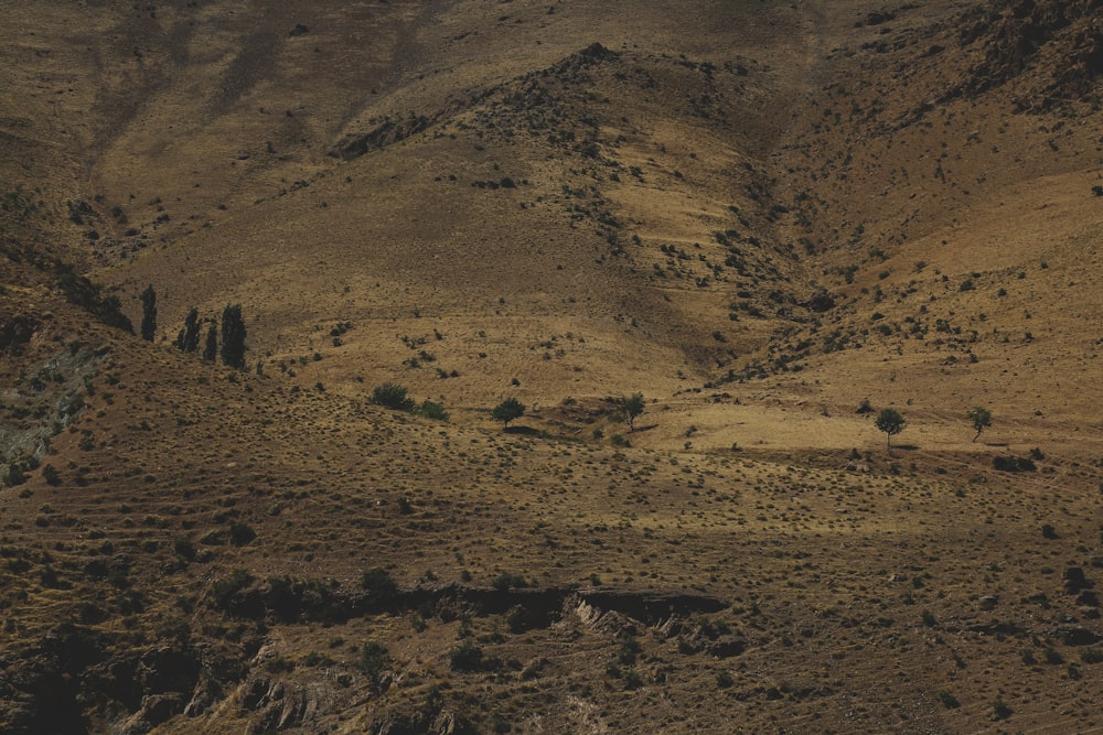 a landscape with hills and trees