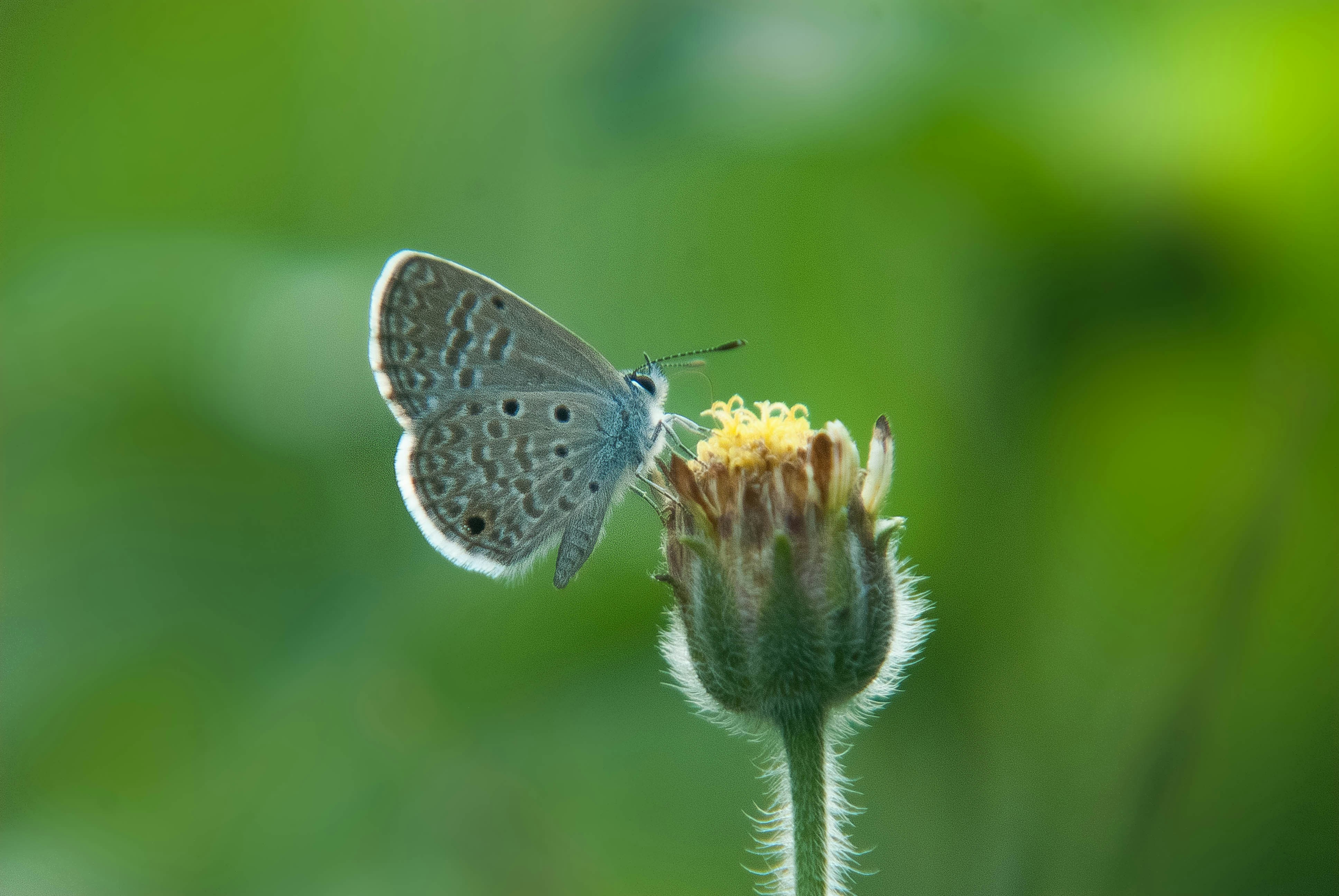 Photo by moisesamaral7