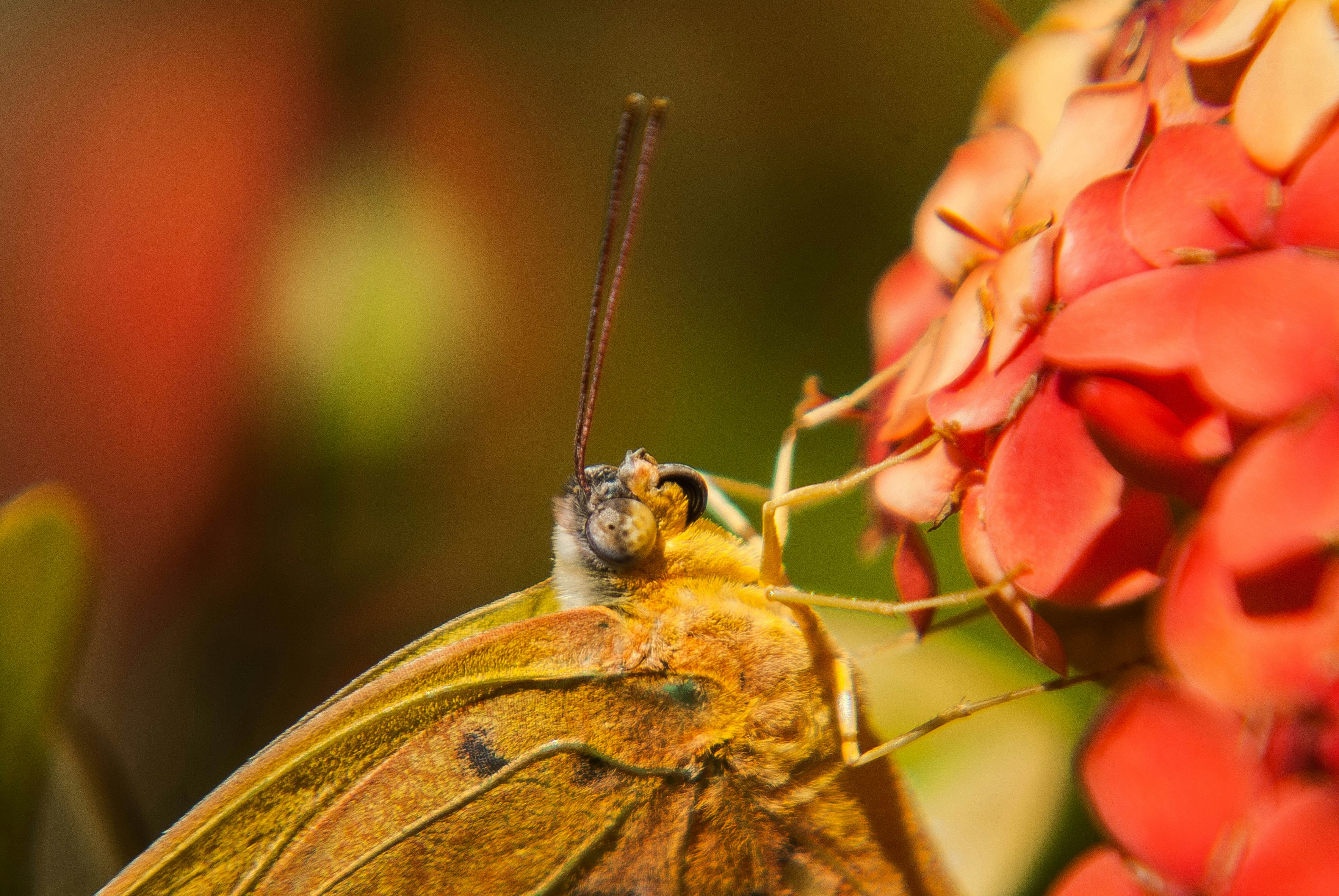 Photo by moisesamaral7