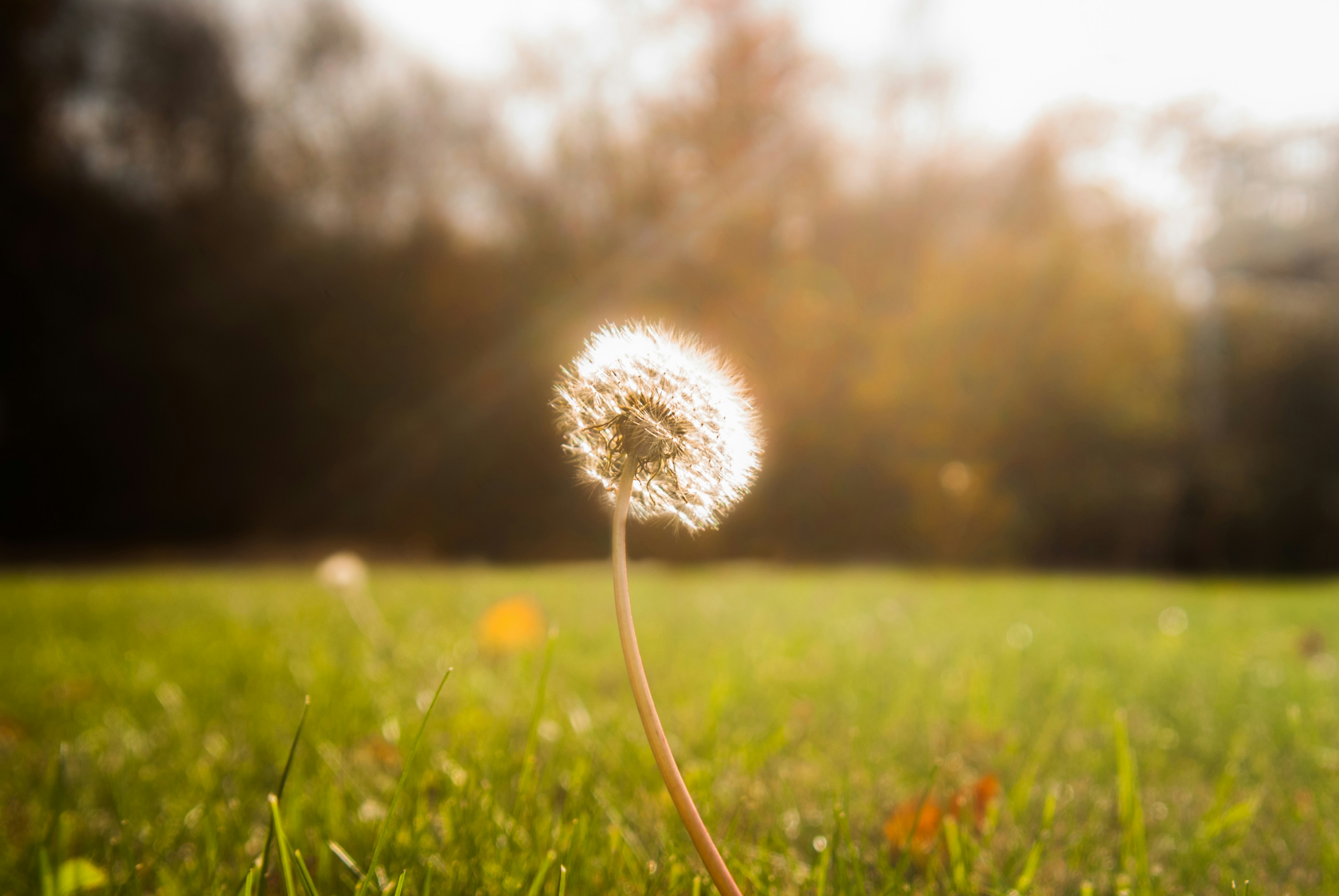 Photo by moisesamaral7