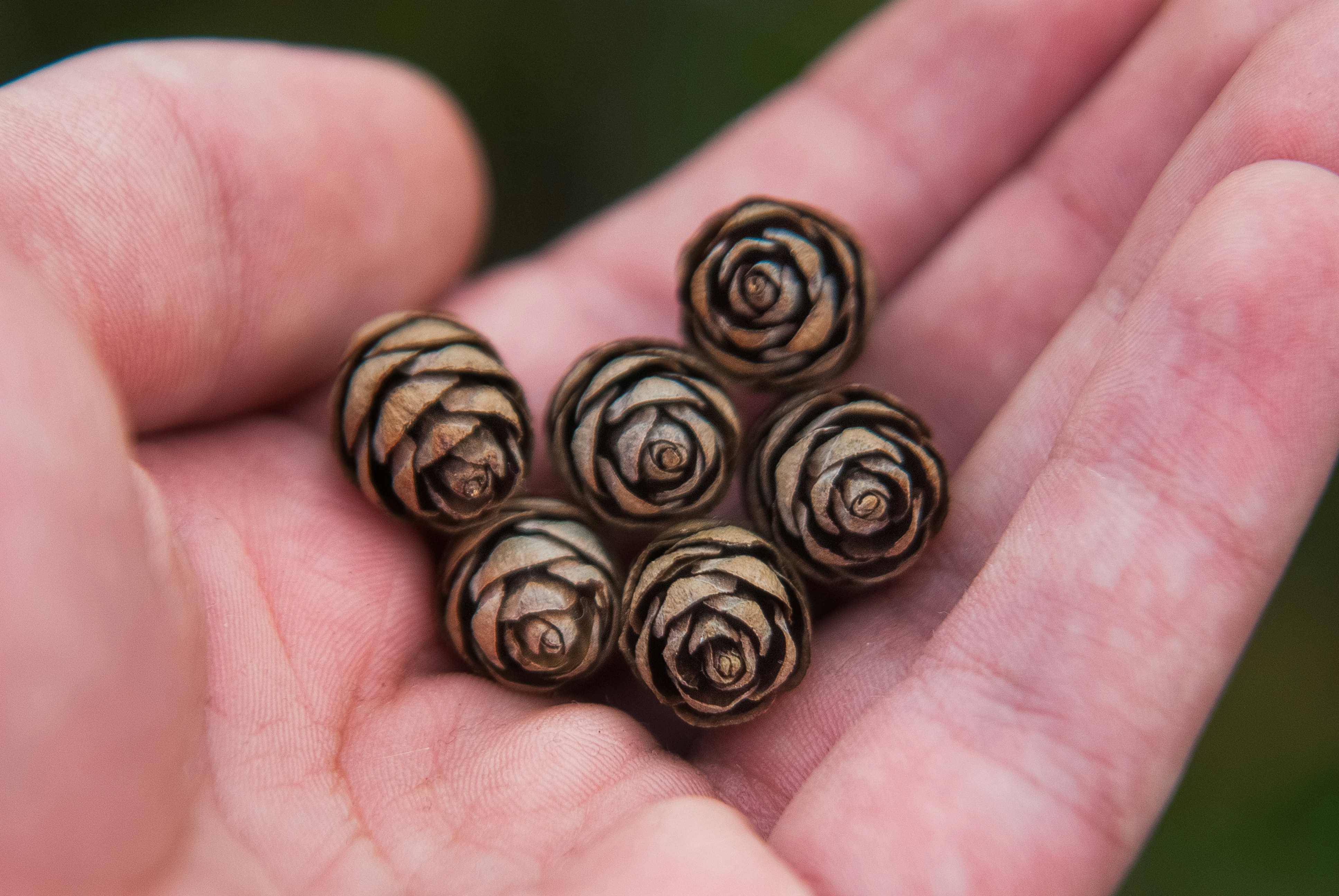 a hand holding a handful of coins