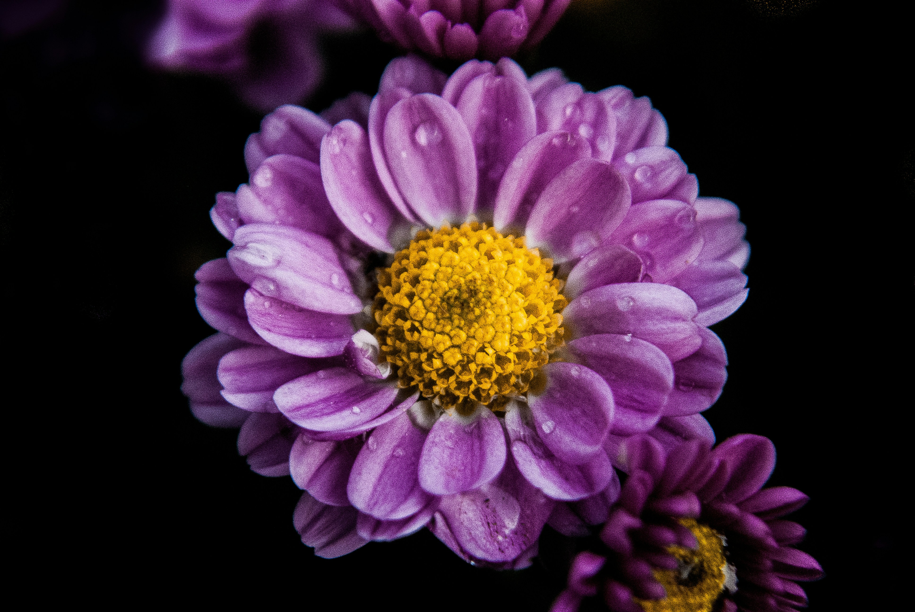 Photo by moisesamaral7