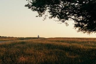 a person walking in a field