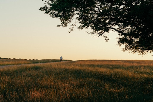 a person walking in a field