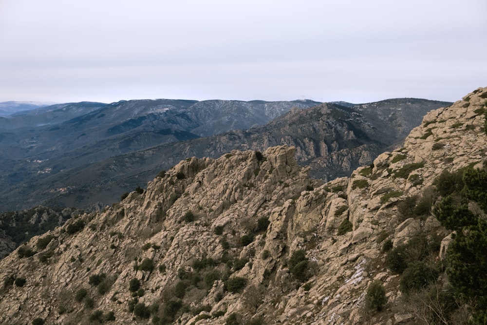 a rocky mountain with trees