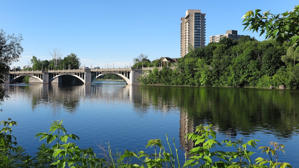 a bridge over a river