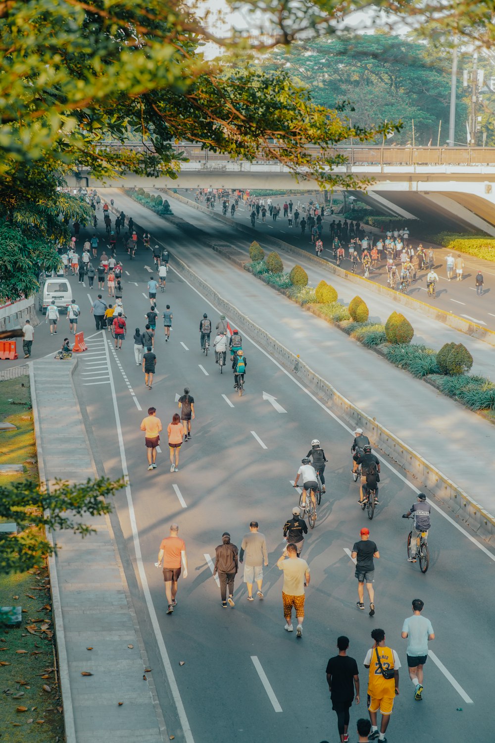 Un gruppo di persone che camminano su una strada con le biciclette