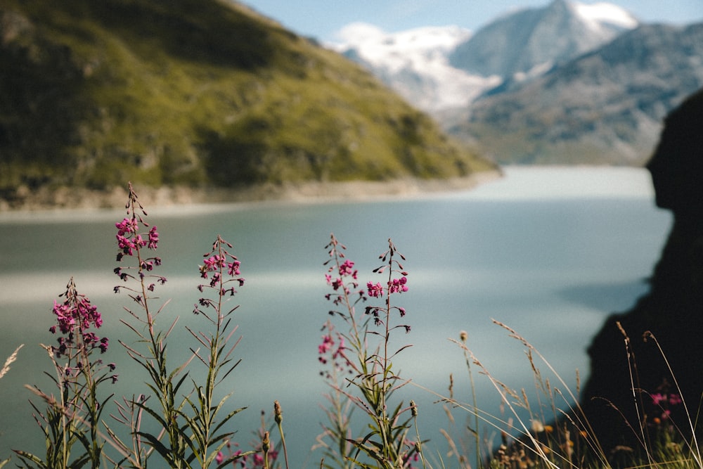 a lake with mountains in the background