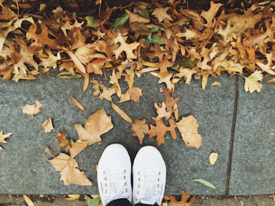 A pair of sleek, casual sneakers resting on a city sidewalk with autumn leaves.