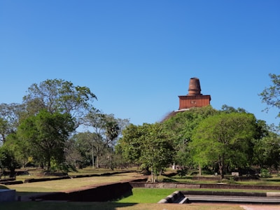 The historic Sanchi Stupa surrounded by trees under a clear blue sky.