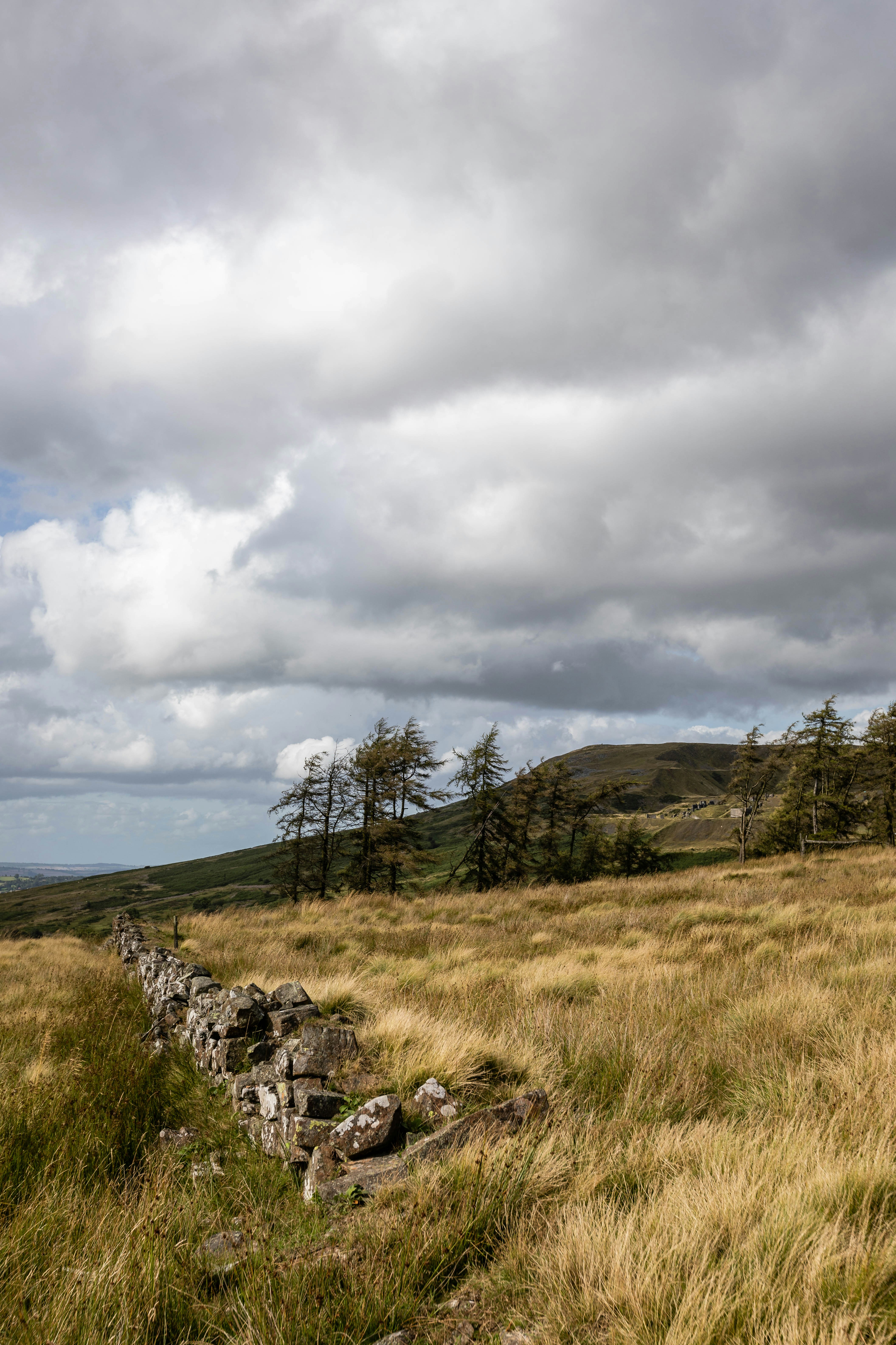 Photo by dannythomas