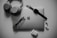 A neatly organized collection of tech gadgets featuring a closed laptop with the Apple logo, over-ear headphones, a smartwatch with a black band, a pair of black-framed glasses, and white wireless earbuds along with their charging case.