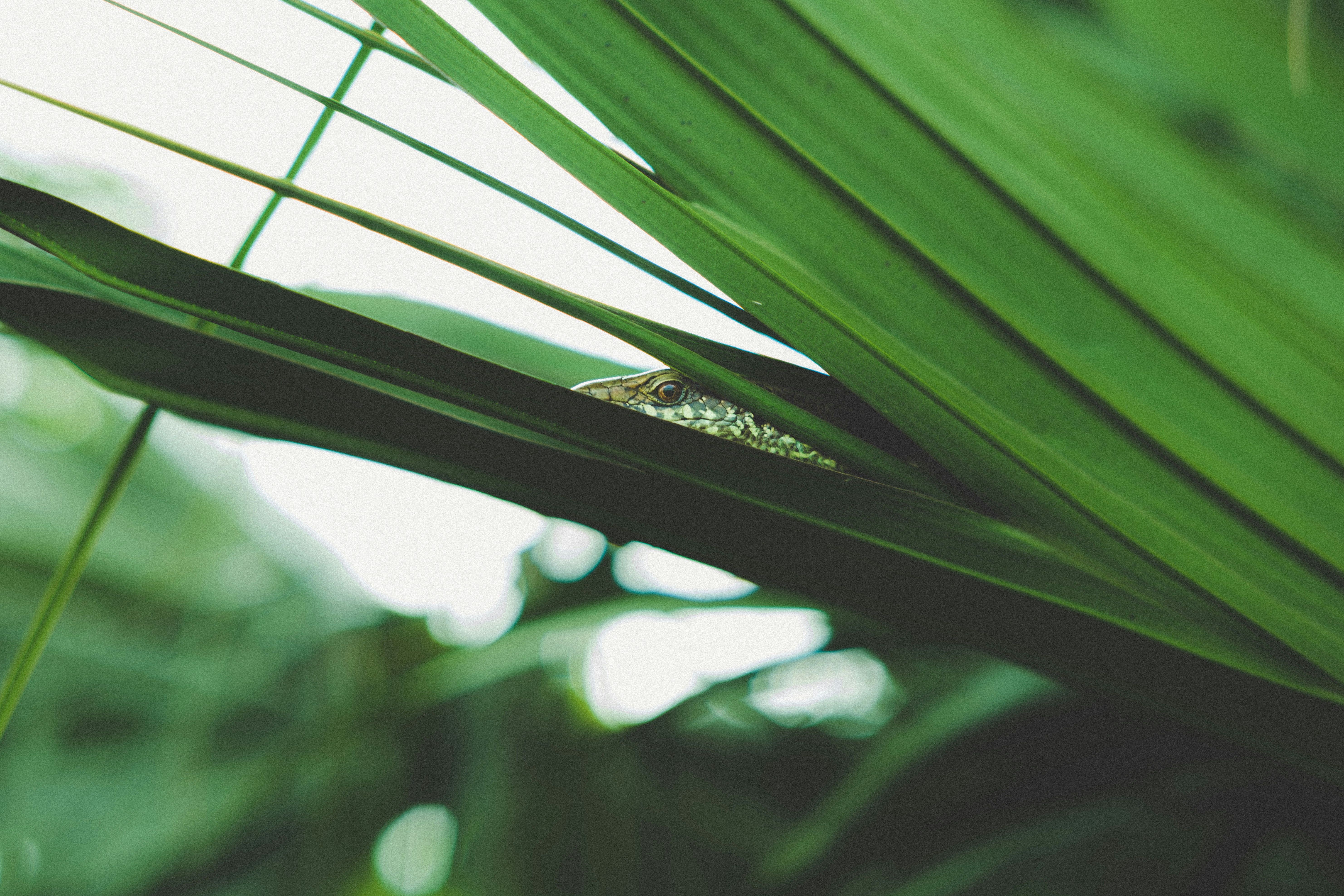 Photo by hieptltb97